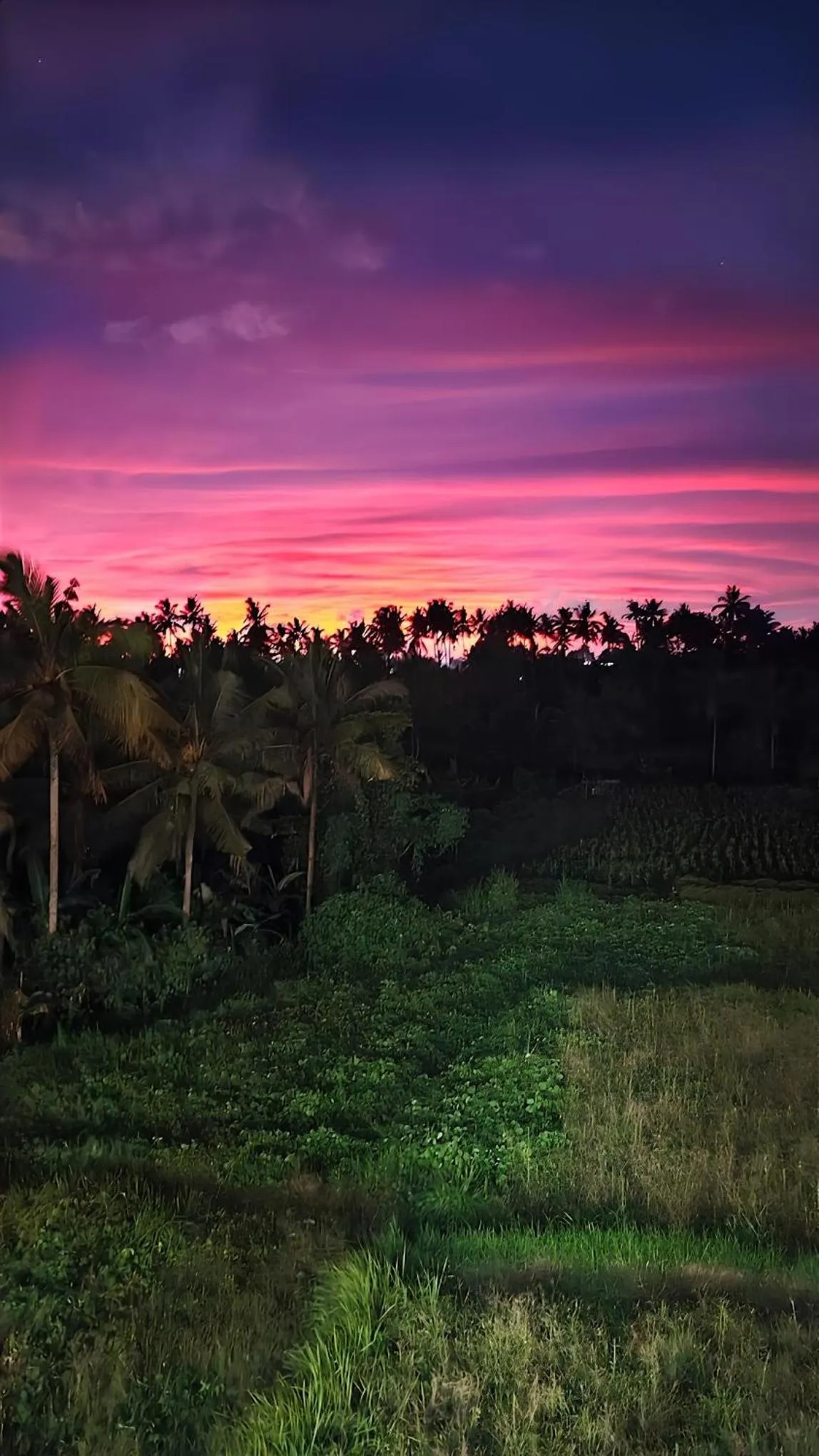 View (from property/room) in Wadari Retreat Villa Ubud