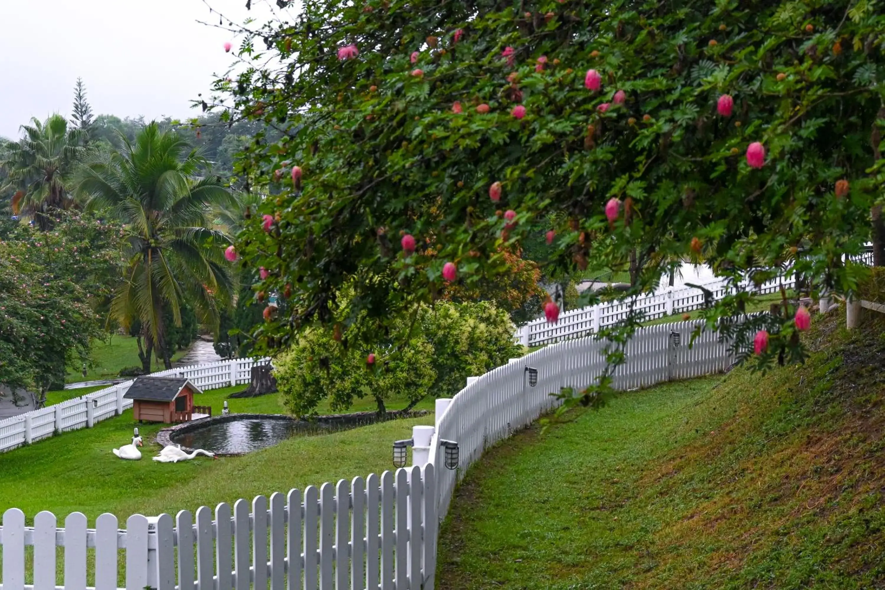 Garden view in Swiss Valley Hip Resort Garden view in Swiss Valley Hip Resort