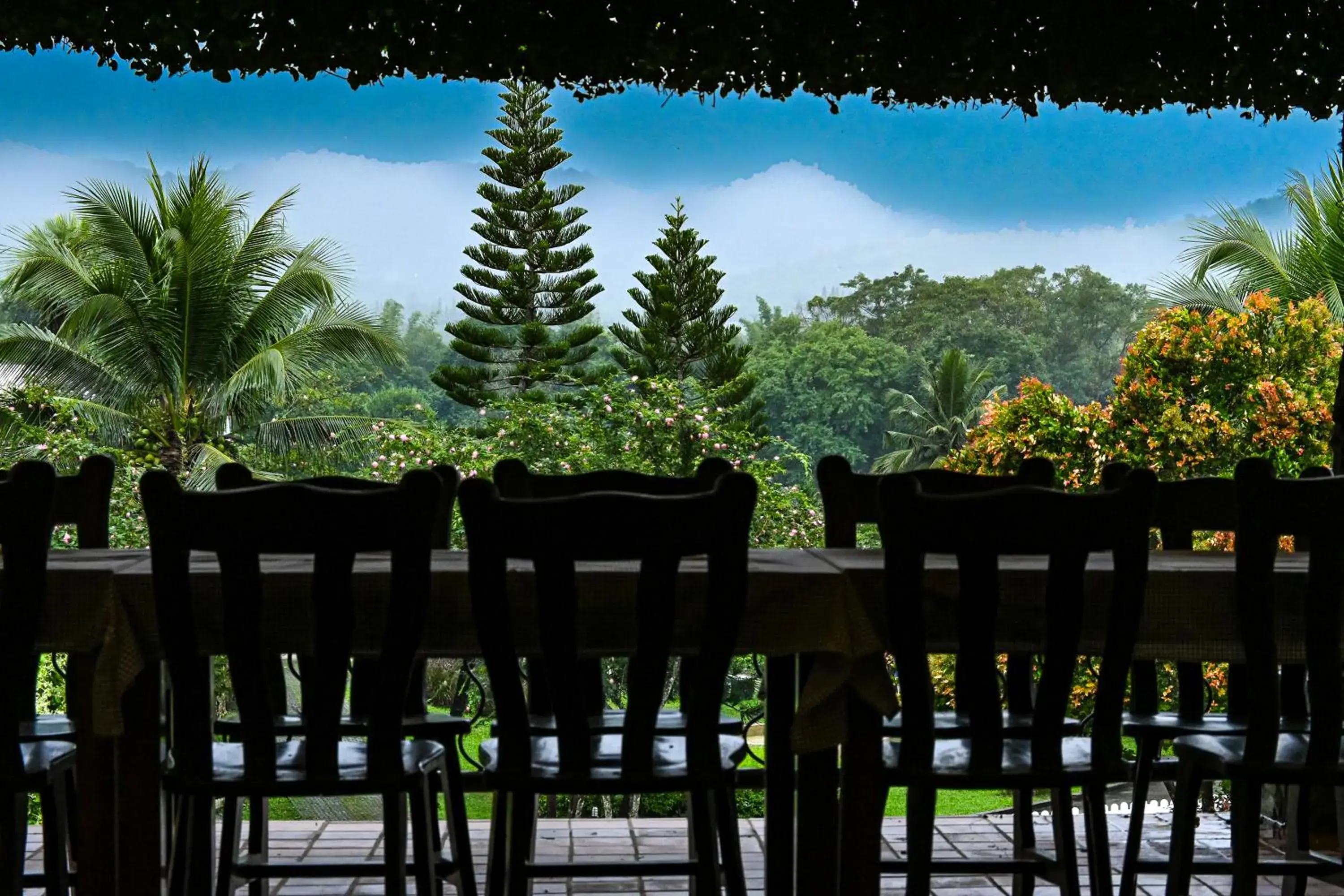 View (from property/room) in Swiss Valley Hip Resort View (from property/room) in Swiss Valley Hip Resort