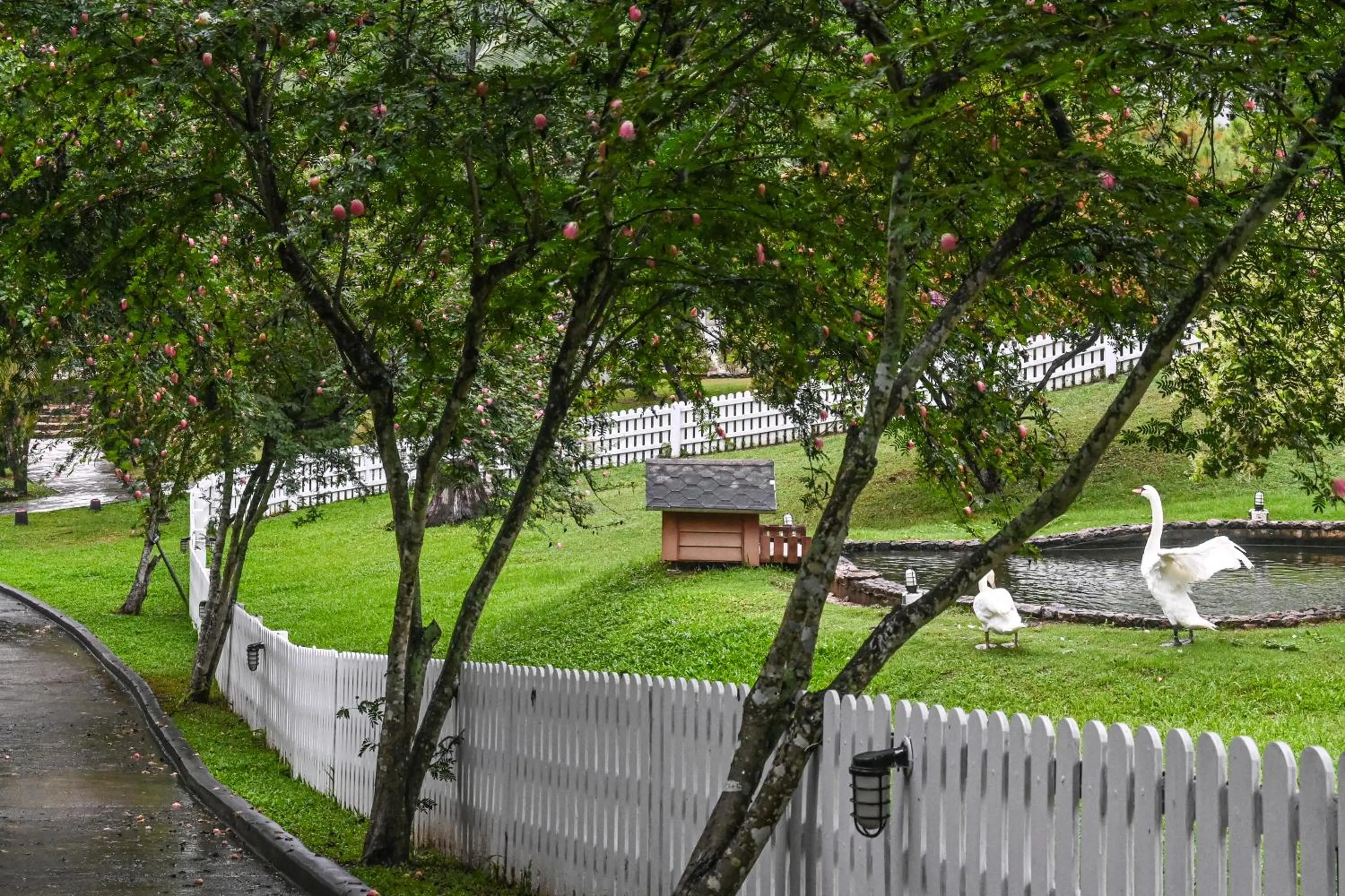 Natural landscape in Swiss Valley Hip Resort