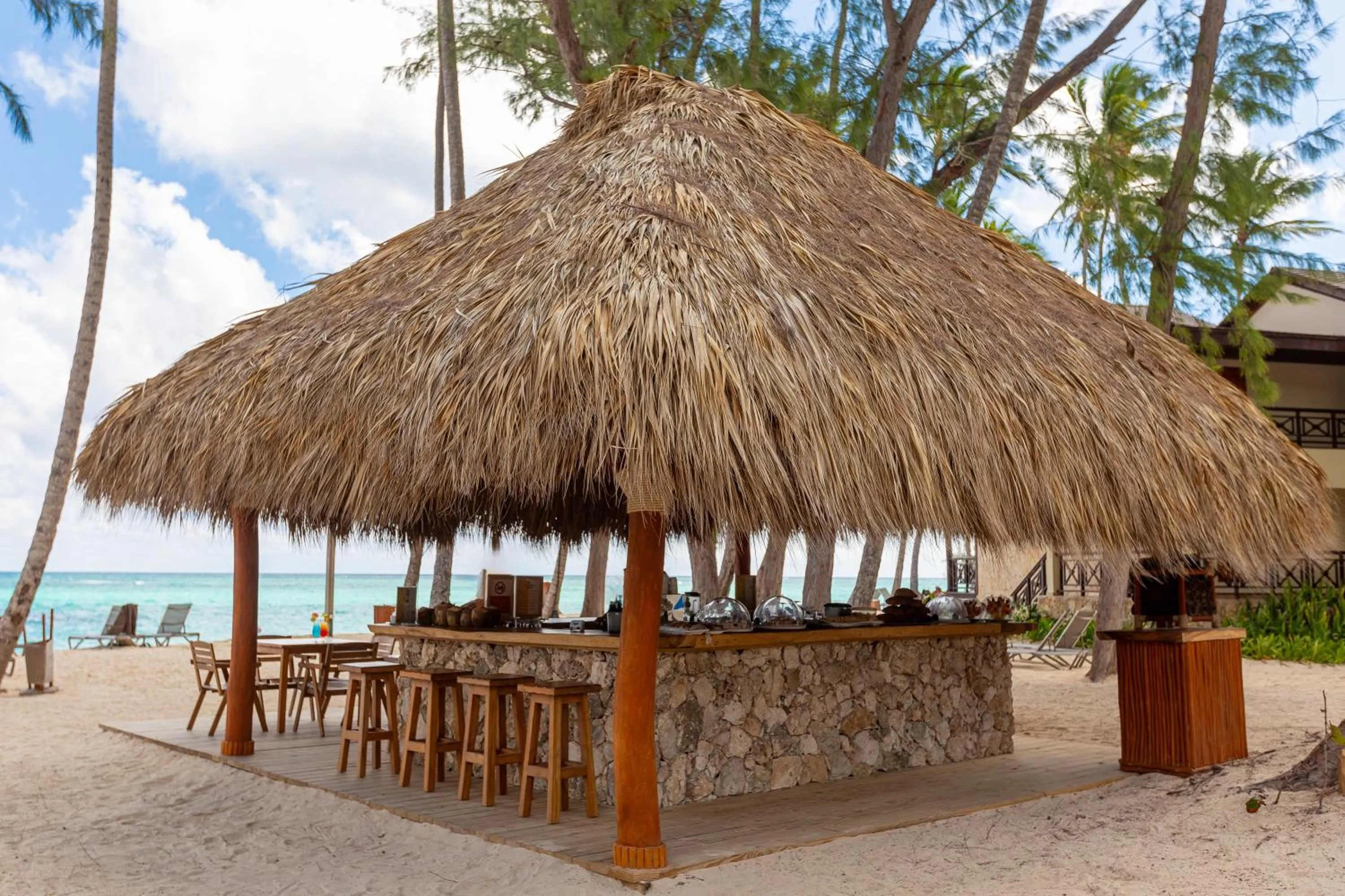 Lounge or bar in Vista Sol Punta Cana Beach Resort & Spa - All Inclusive