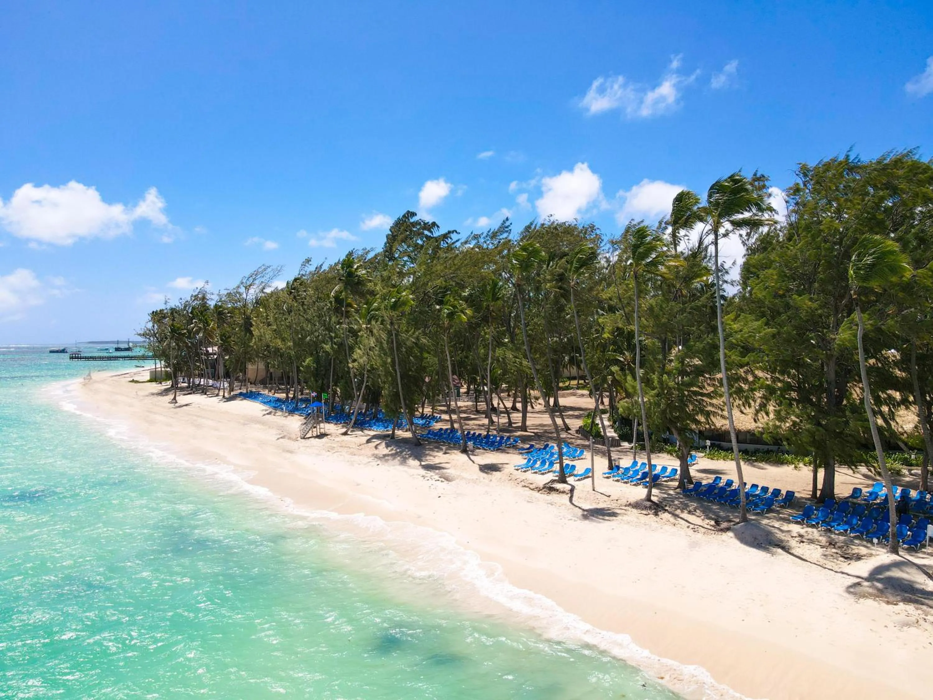 Beach in Vista Sol Punta Cana Beach Resort & Spa - All Inclusive