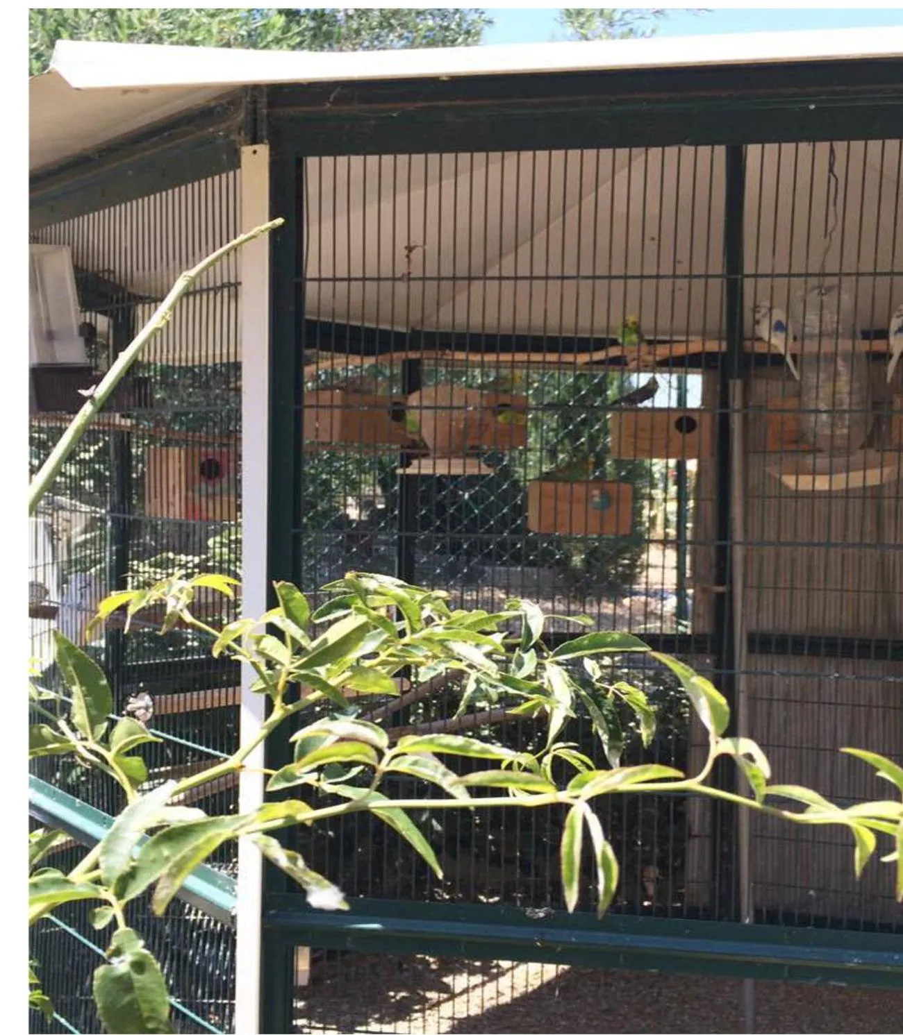 Entre mer et montagne