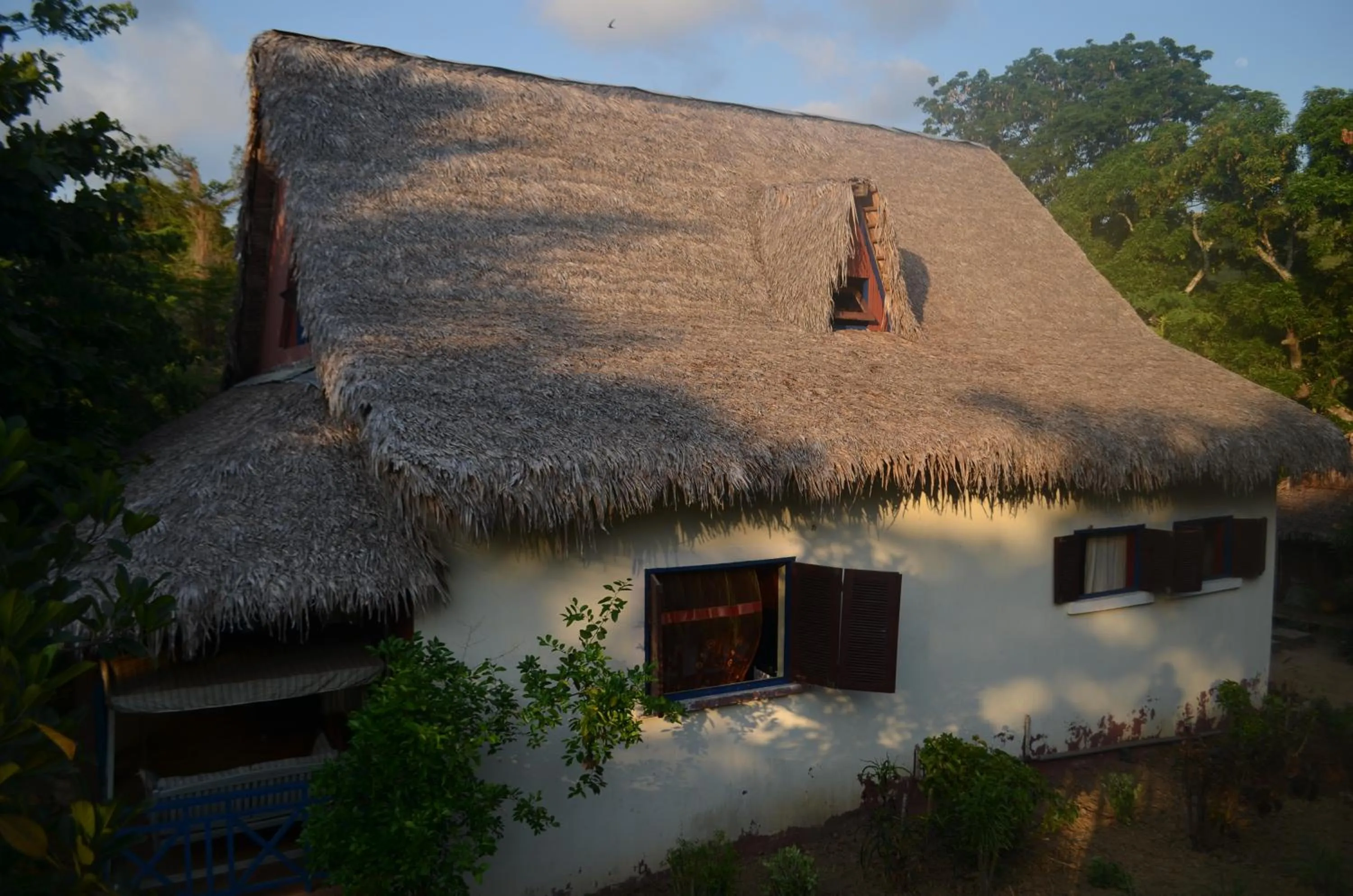 Property building in Reva Castel