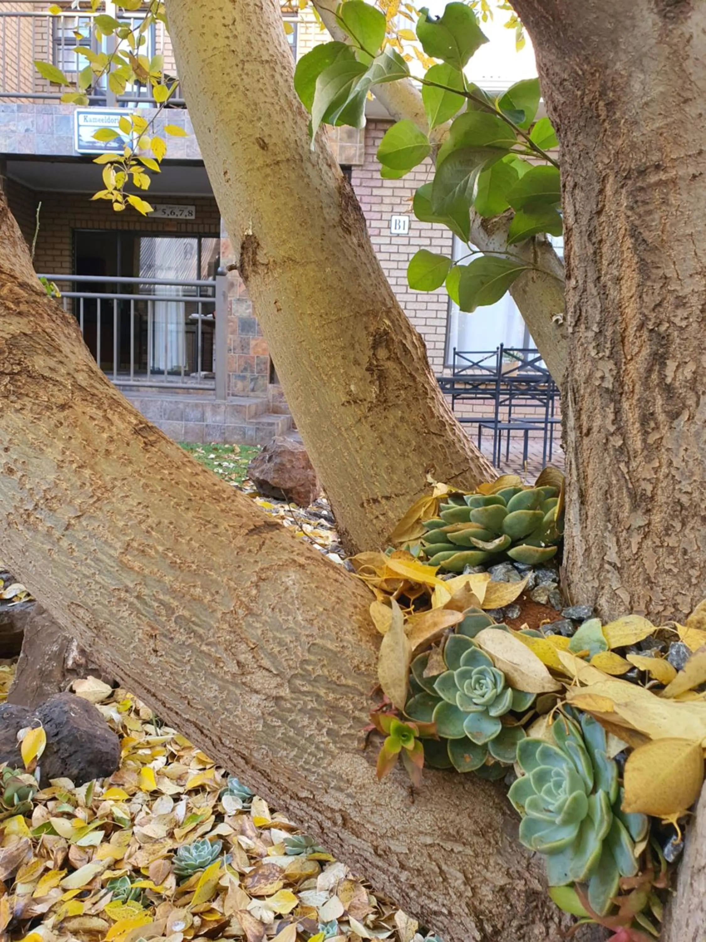 Day in Eldorado Lodge CC