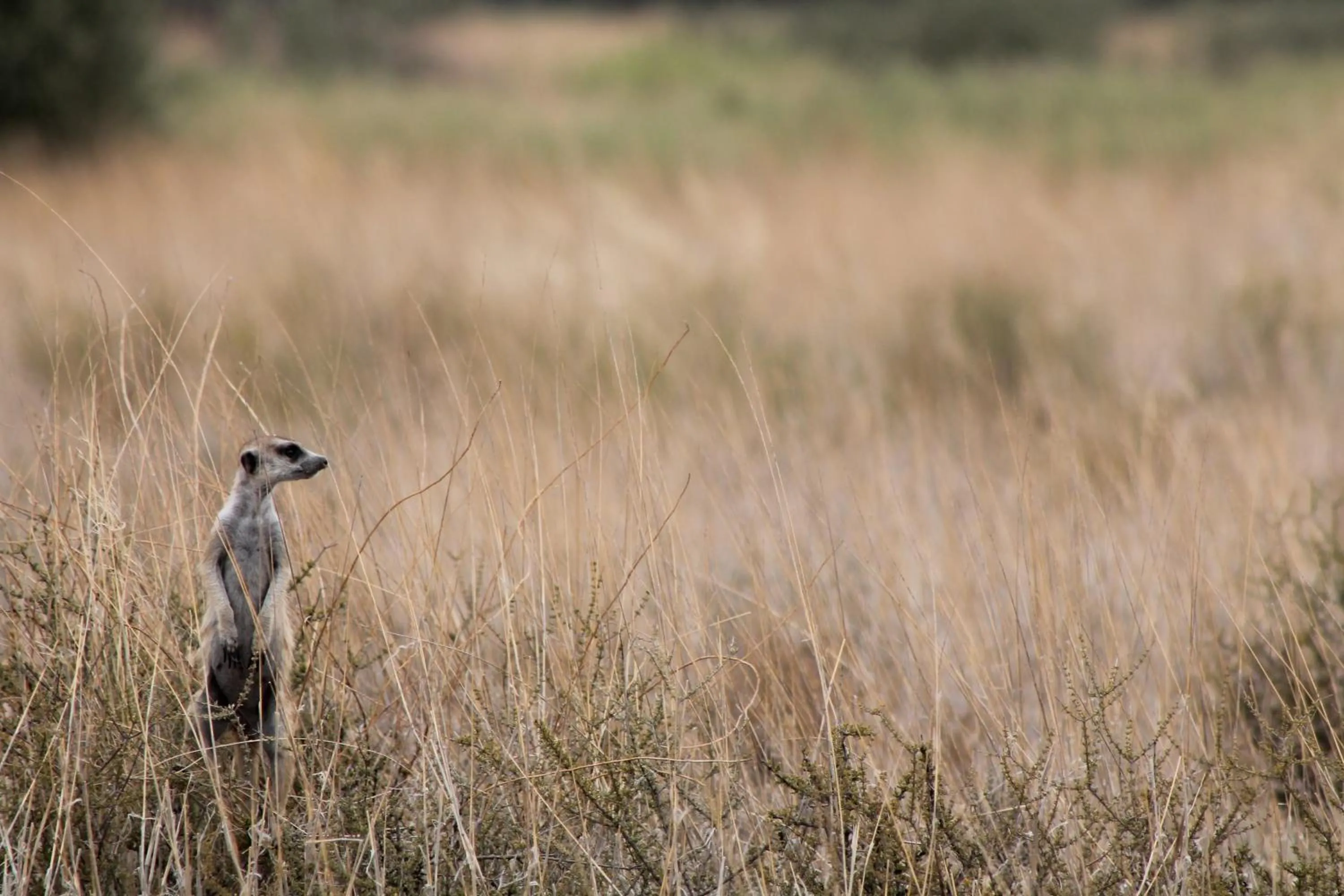 Neighbourhood in Eldorado Lodge CC