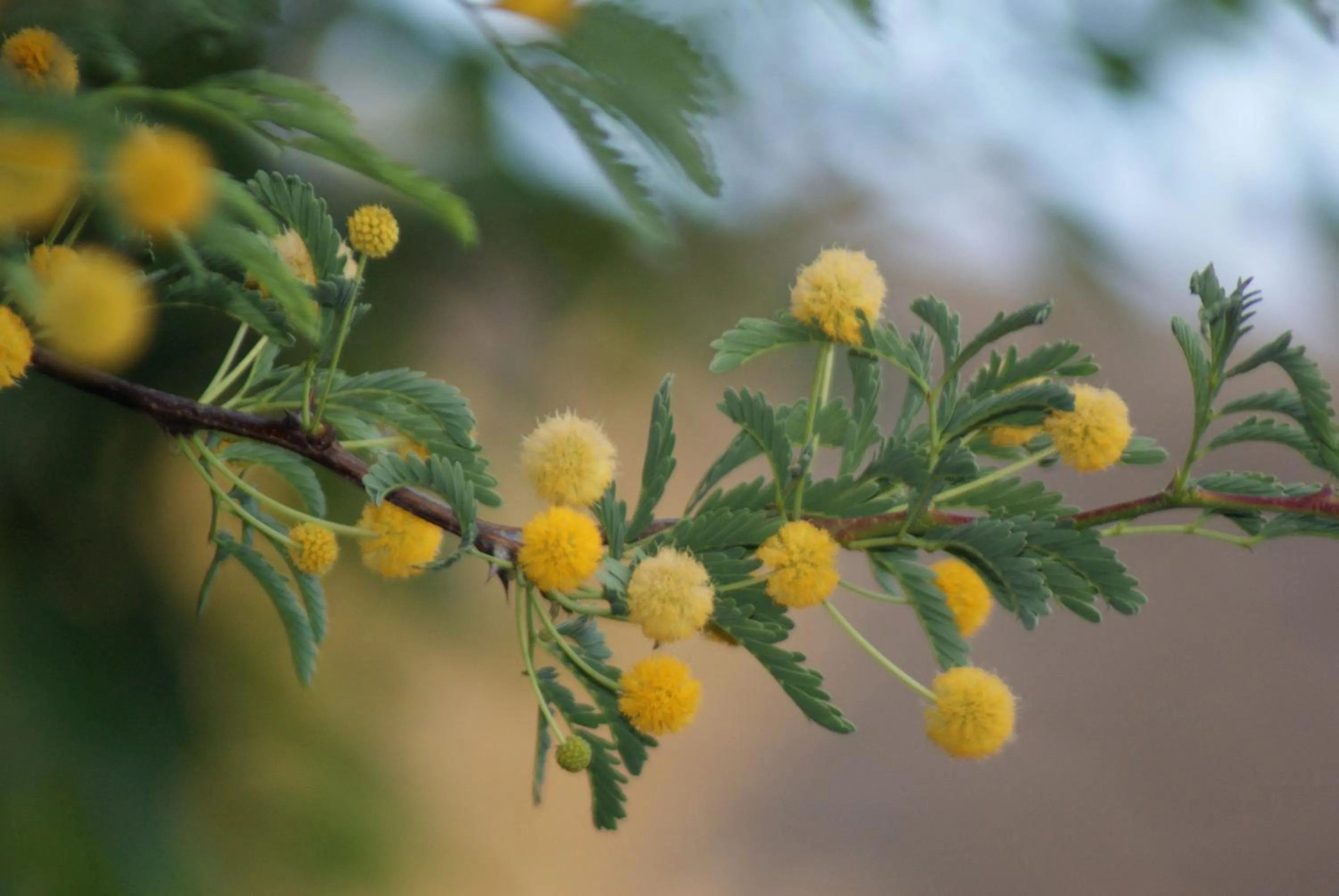 Neighbourhood in Eldorado Lodge CC