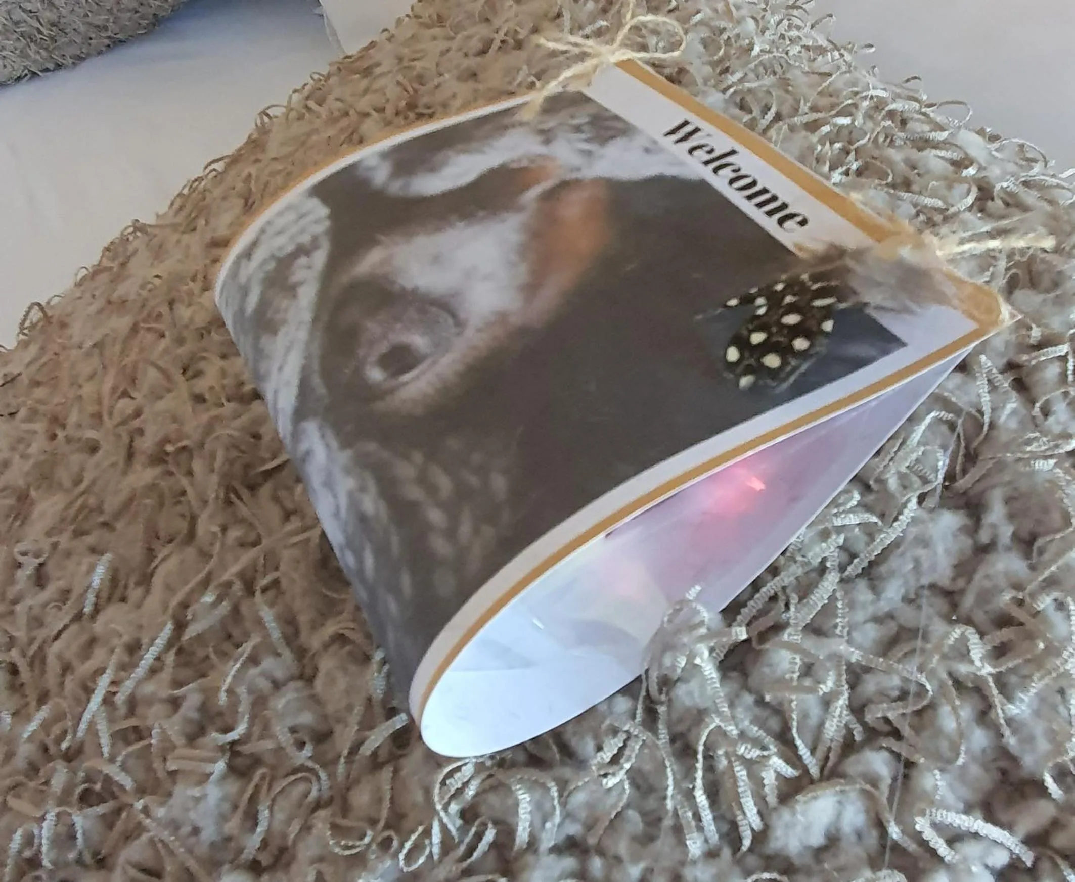 Bed in Eldorado Lodge CC