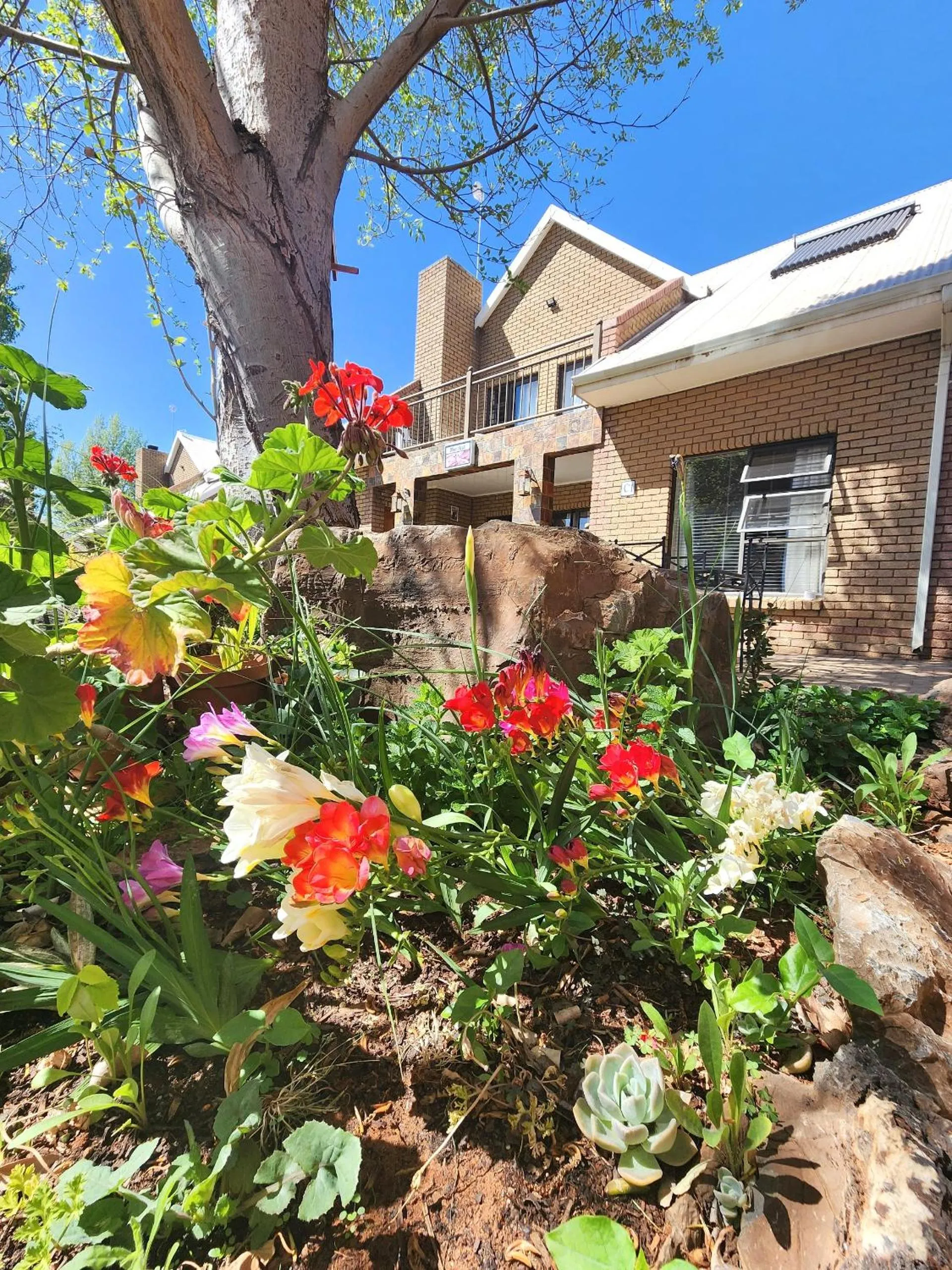 Garden in Eldorado Lodge CC