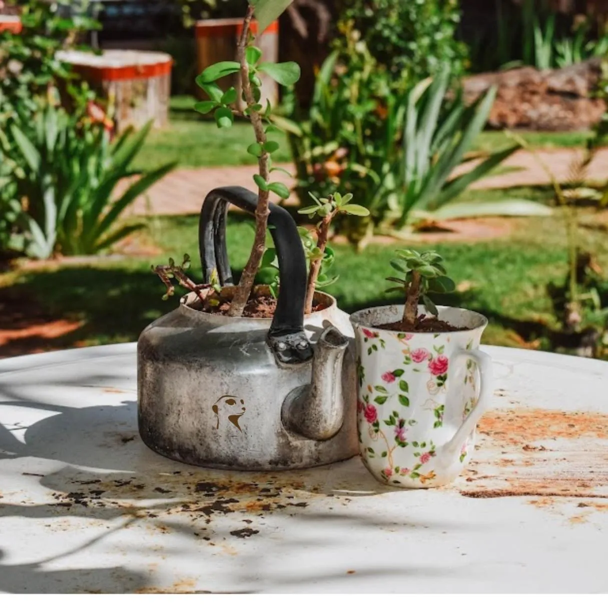 Garden in Eldorado Lodge CC