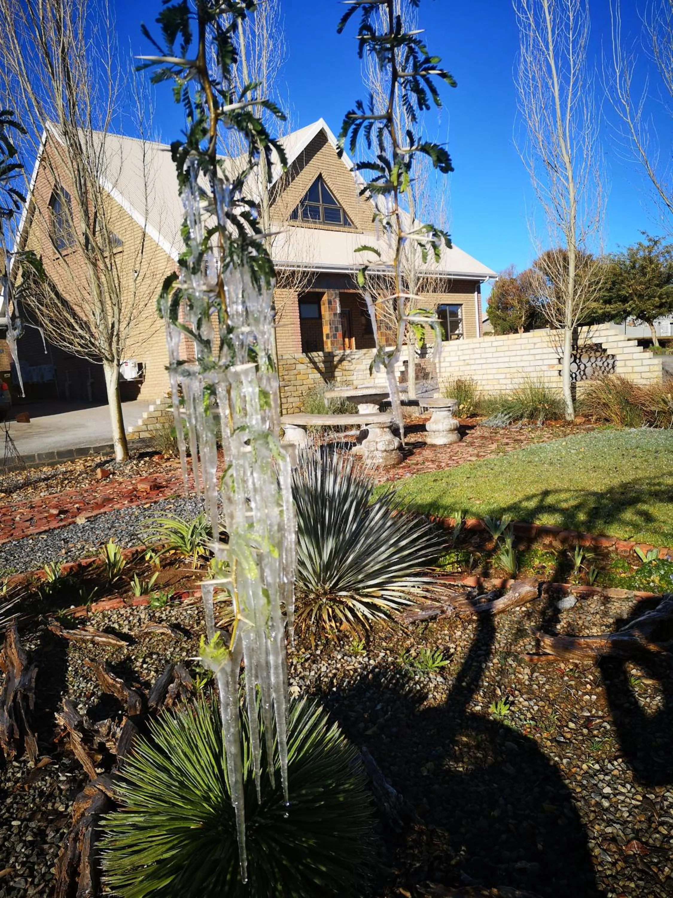 Winter in Eldorado Lodge CC