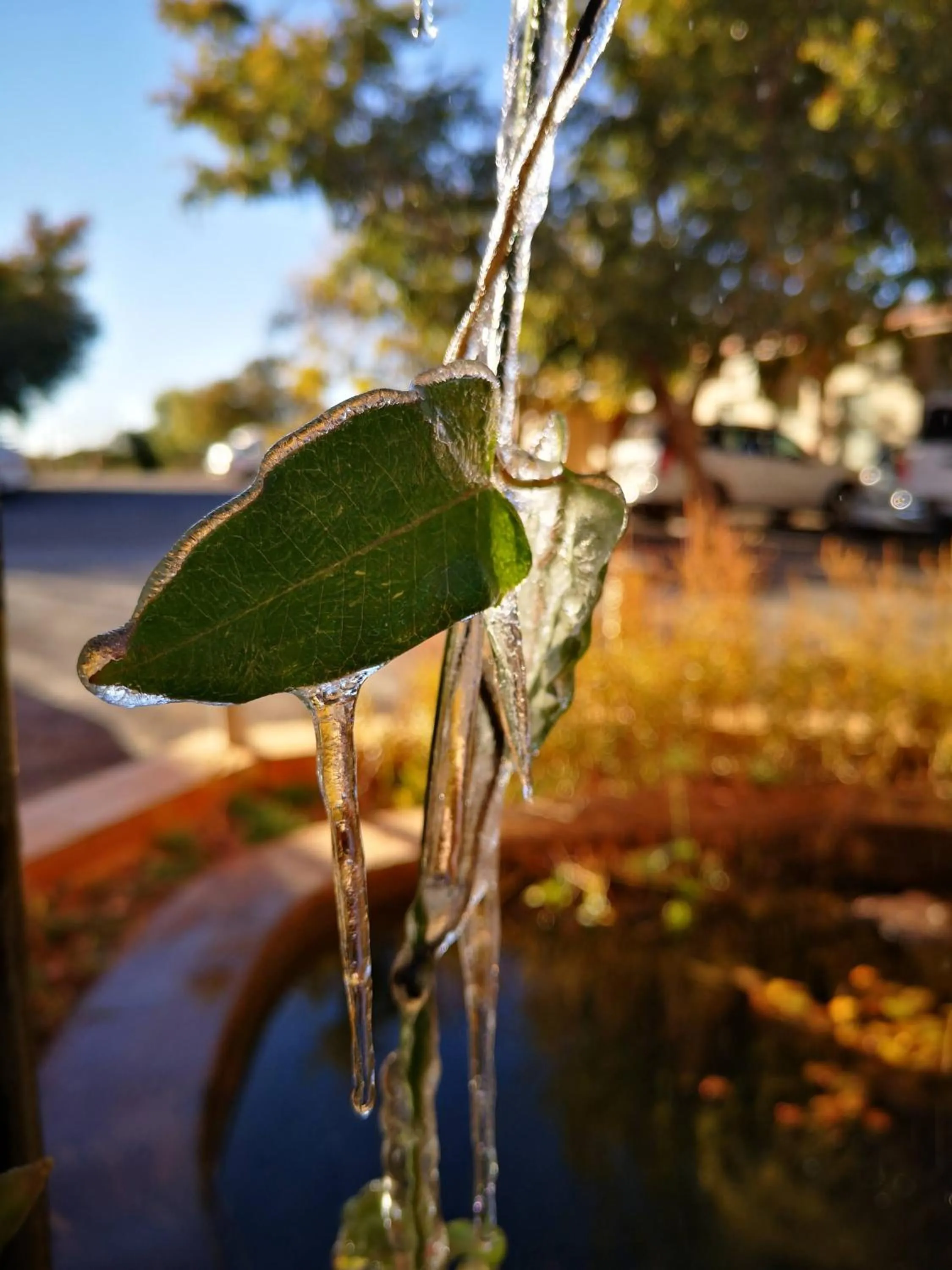 Winter in Eldorado Lodge CC