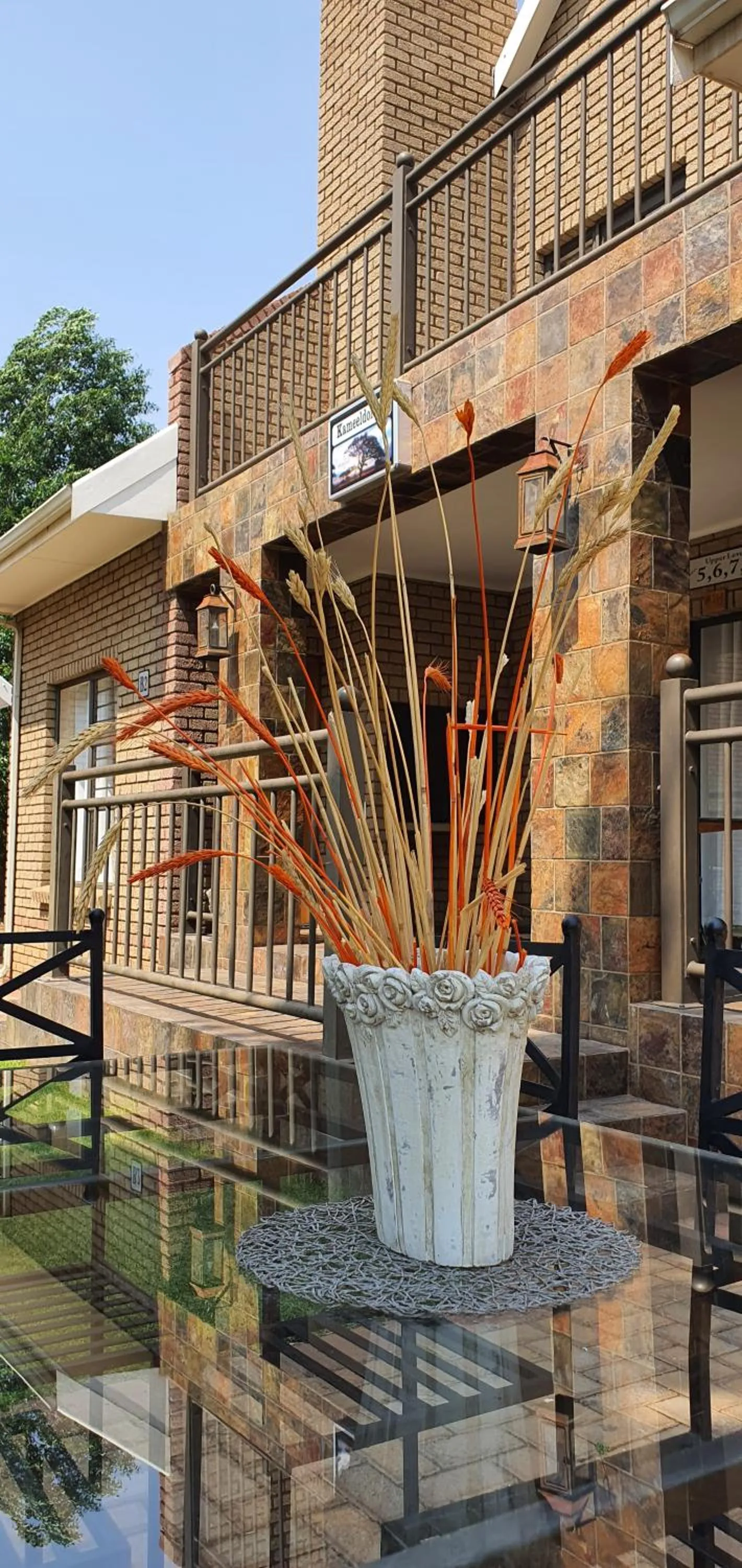 Garden in Eldorado Lodge CC