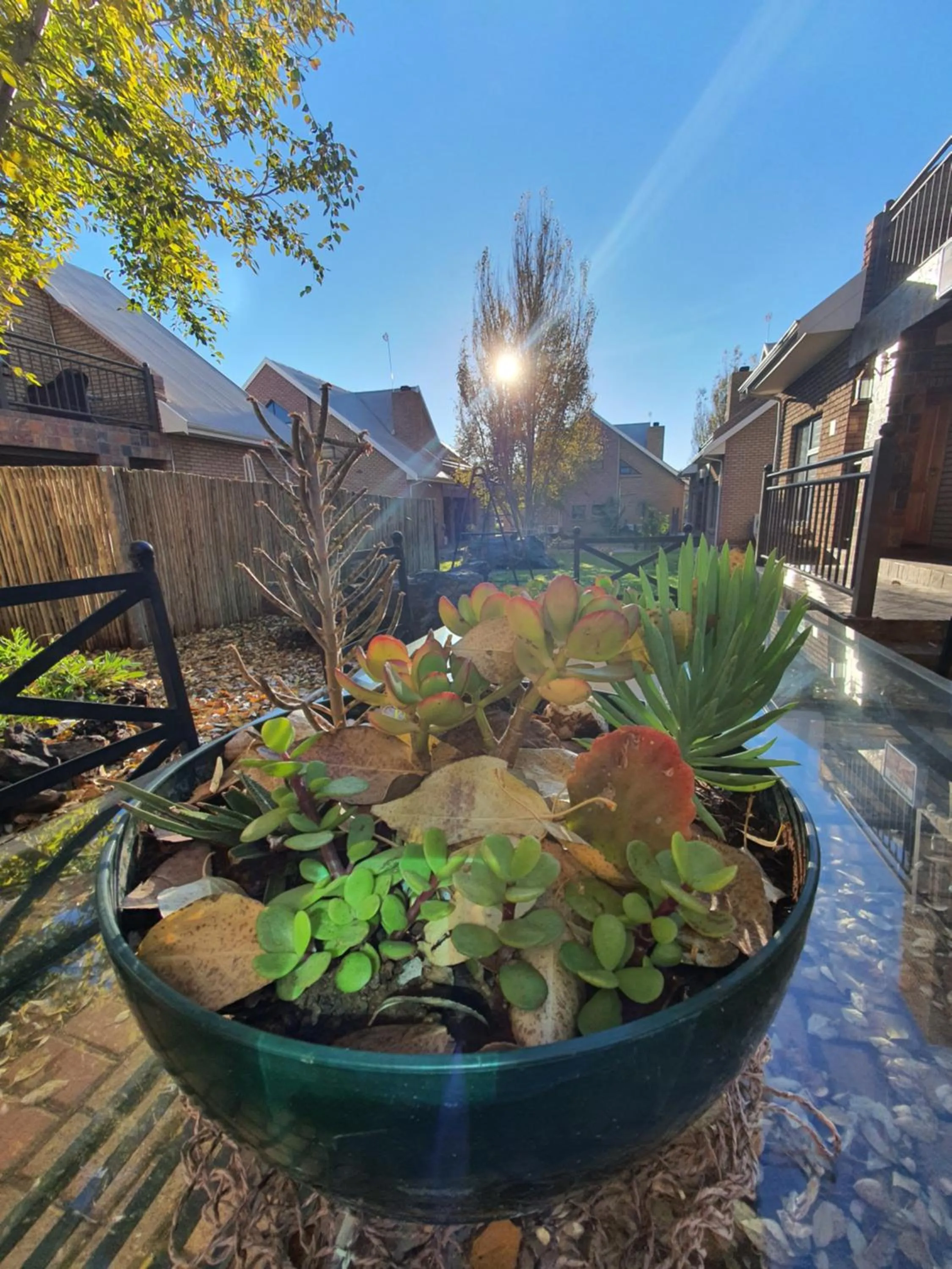 Day in Eldorado Lodge CC