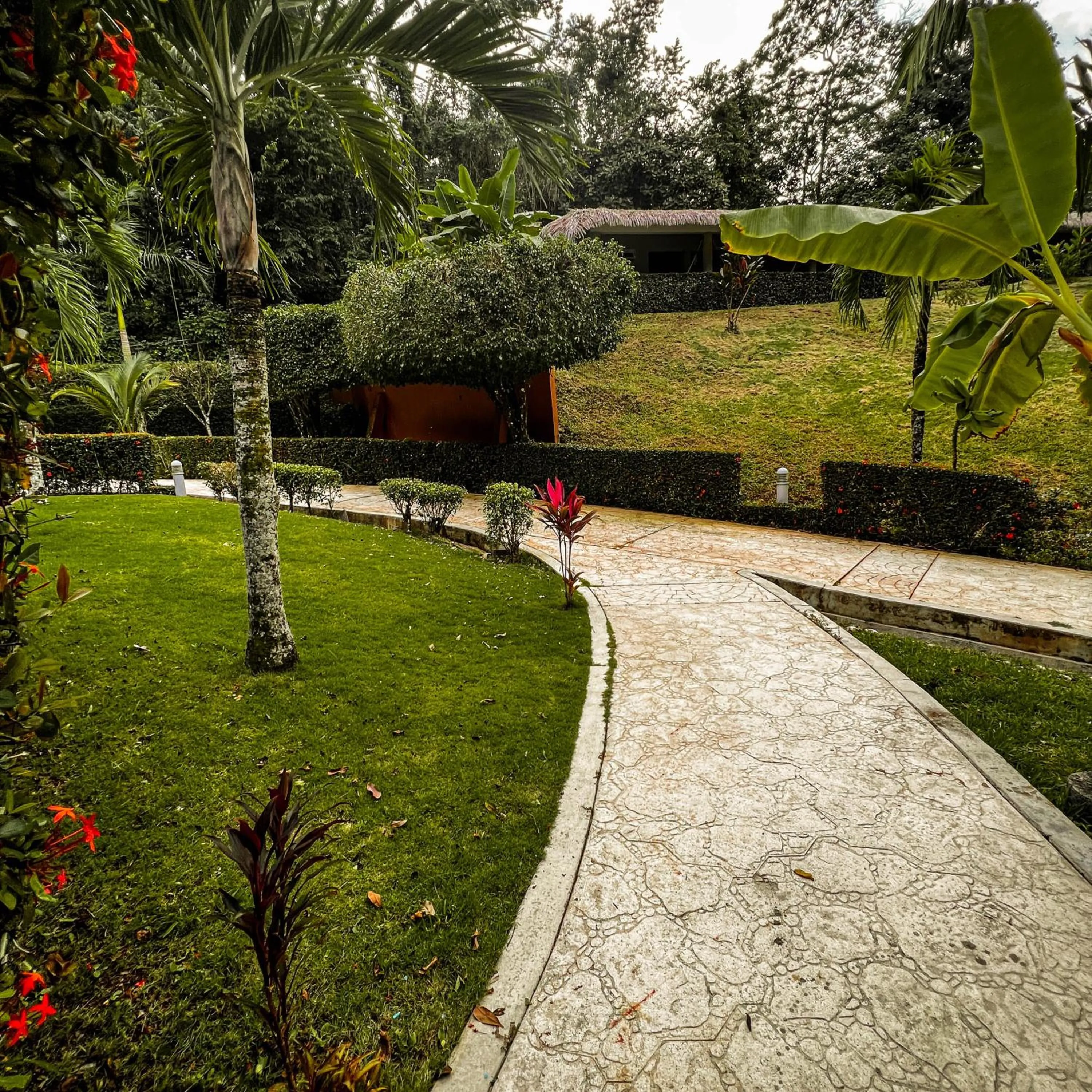 Garden in Hotel Villa Mercedes Palenque