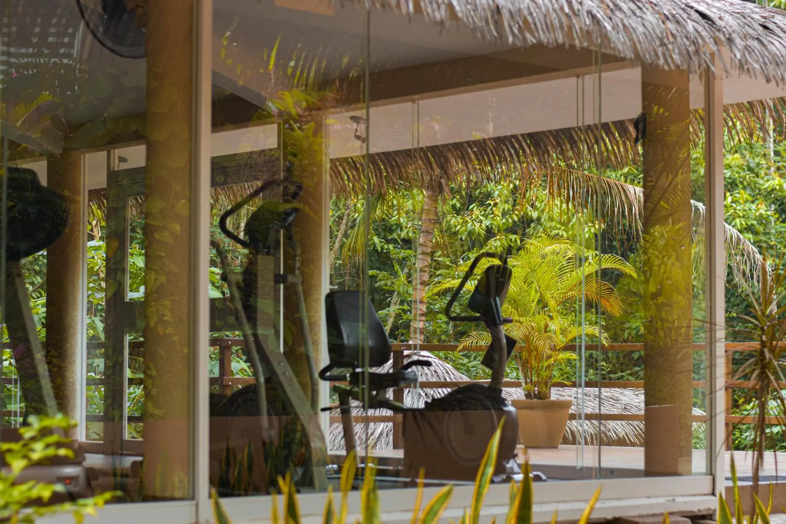 Fitness centre/facilities in Hotel Villa Mercedes Palenque Fitness centre/facilities in Hotel Villa Mercedes Palenque