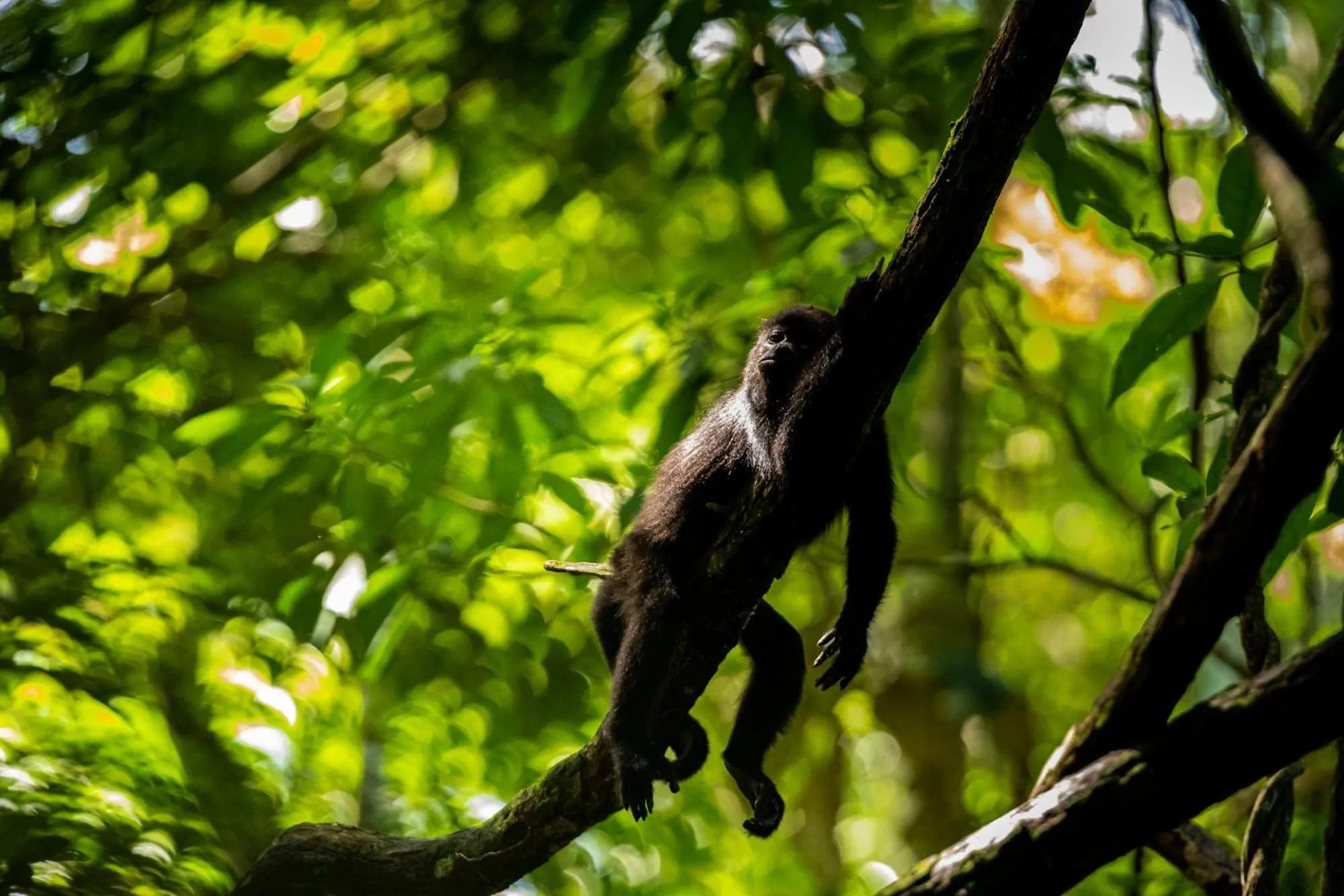 Other in Hotel Villa Mercedes Palenque