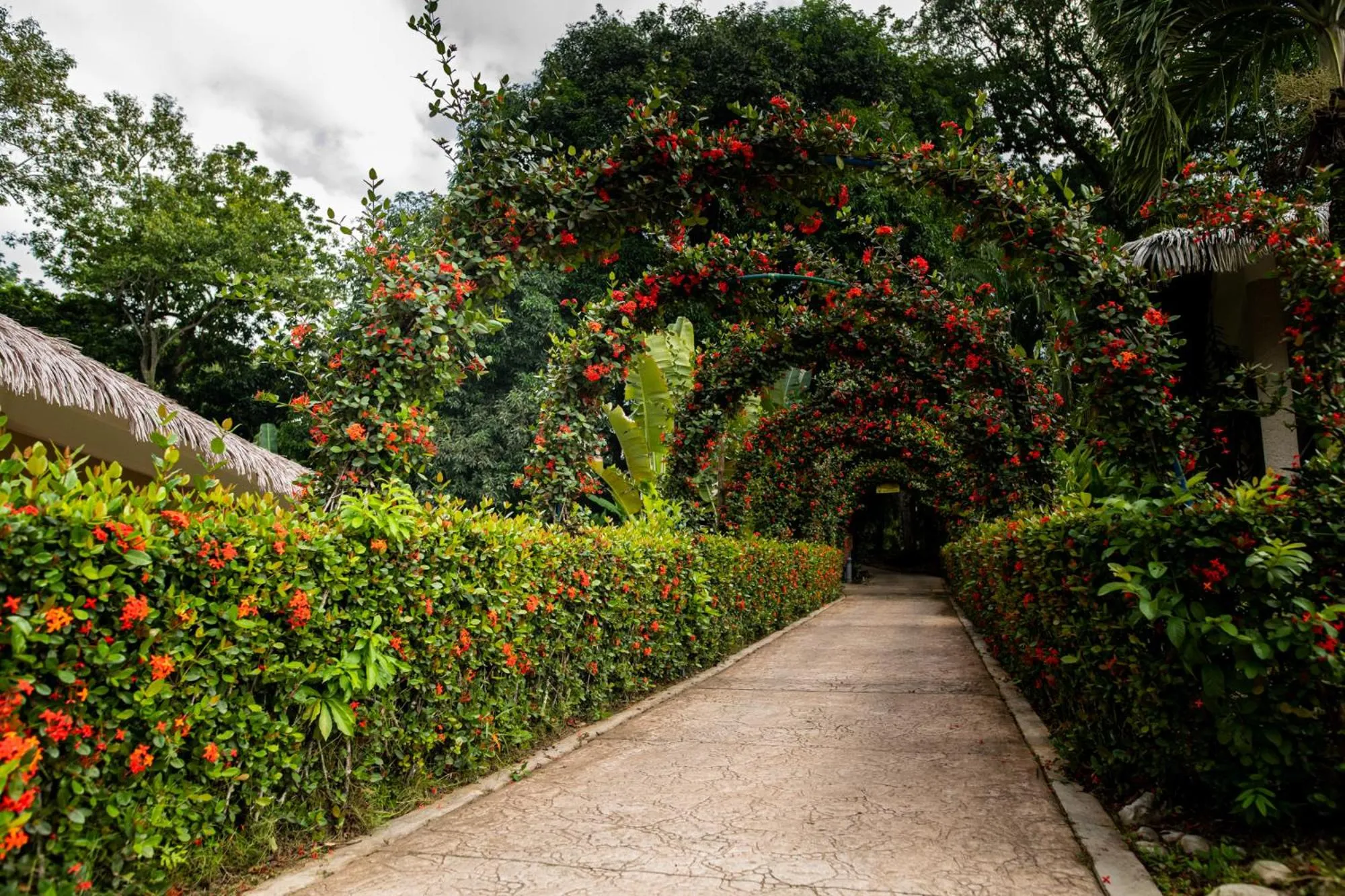Facade/entrance in Hotel Villa Mercedes Palenque