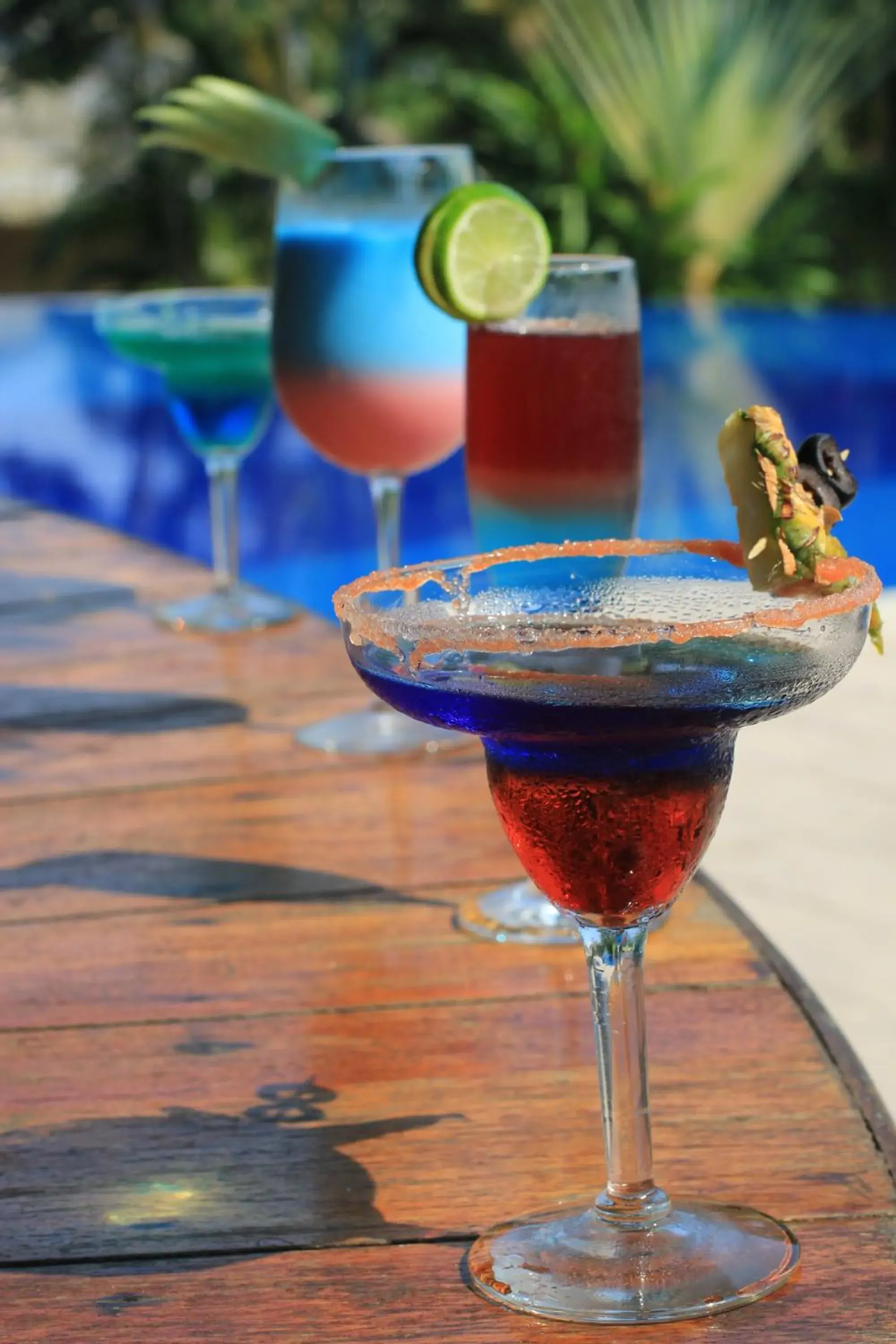 Lounge or bar in Hotel Villa Mercedes Palenque Lounge or bar in Hotel Villa Mercedes Palenque