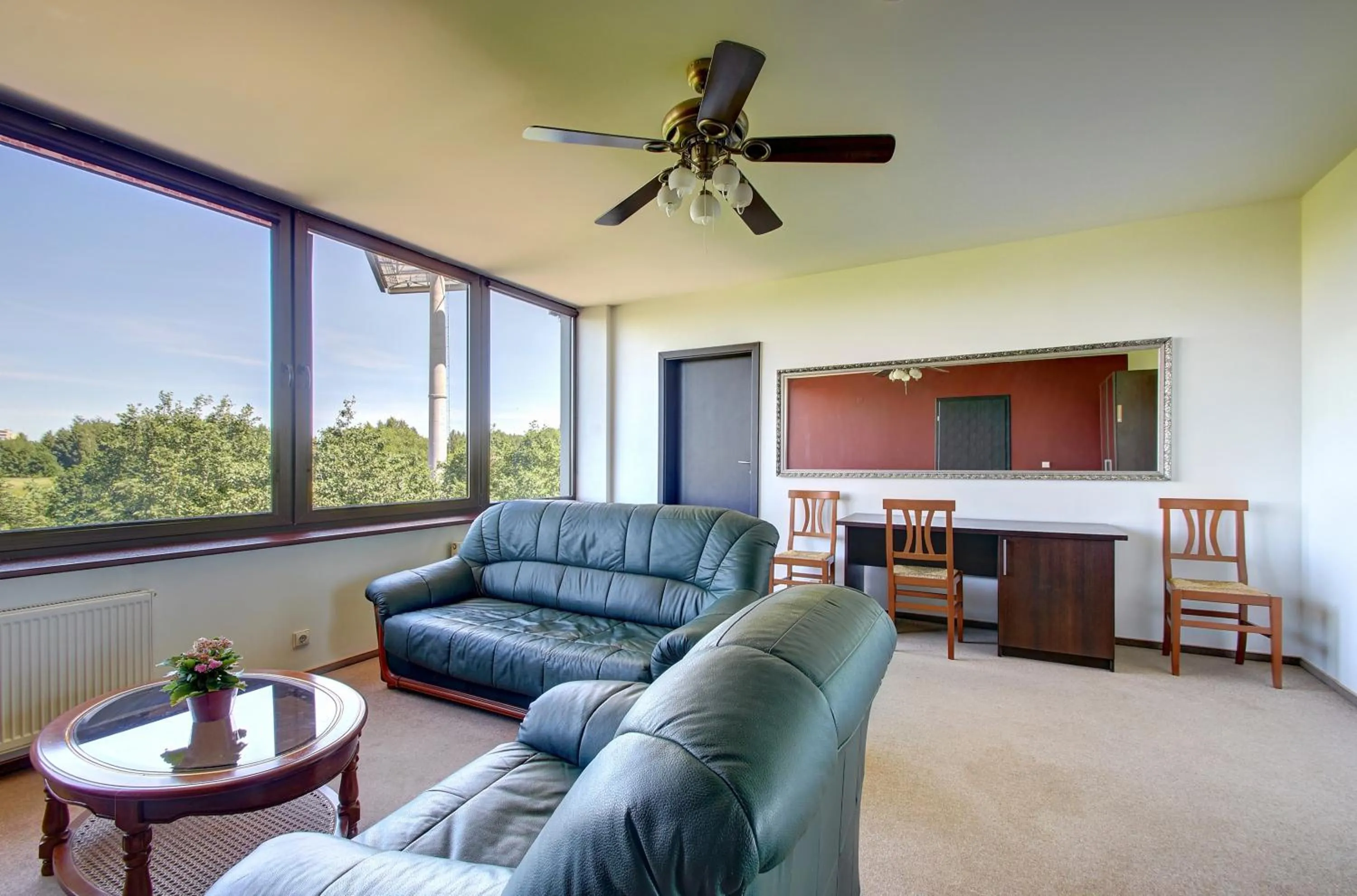 View (from property/room) in Aerohotel