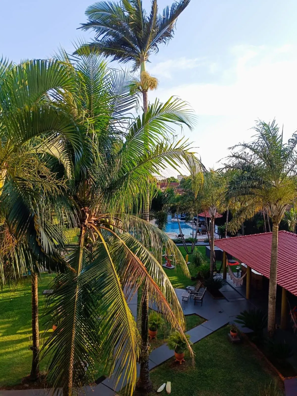 Garden in Hotel GAPH Maringa - Economico Mini Resort