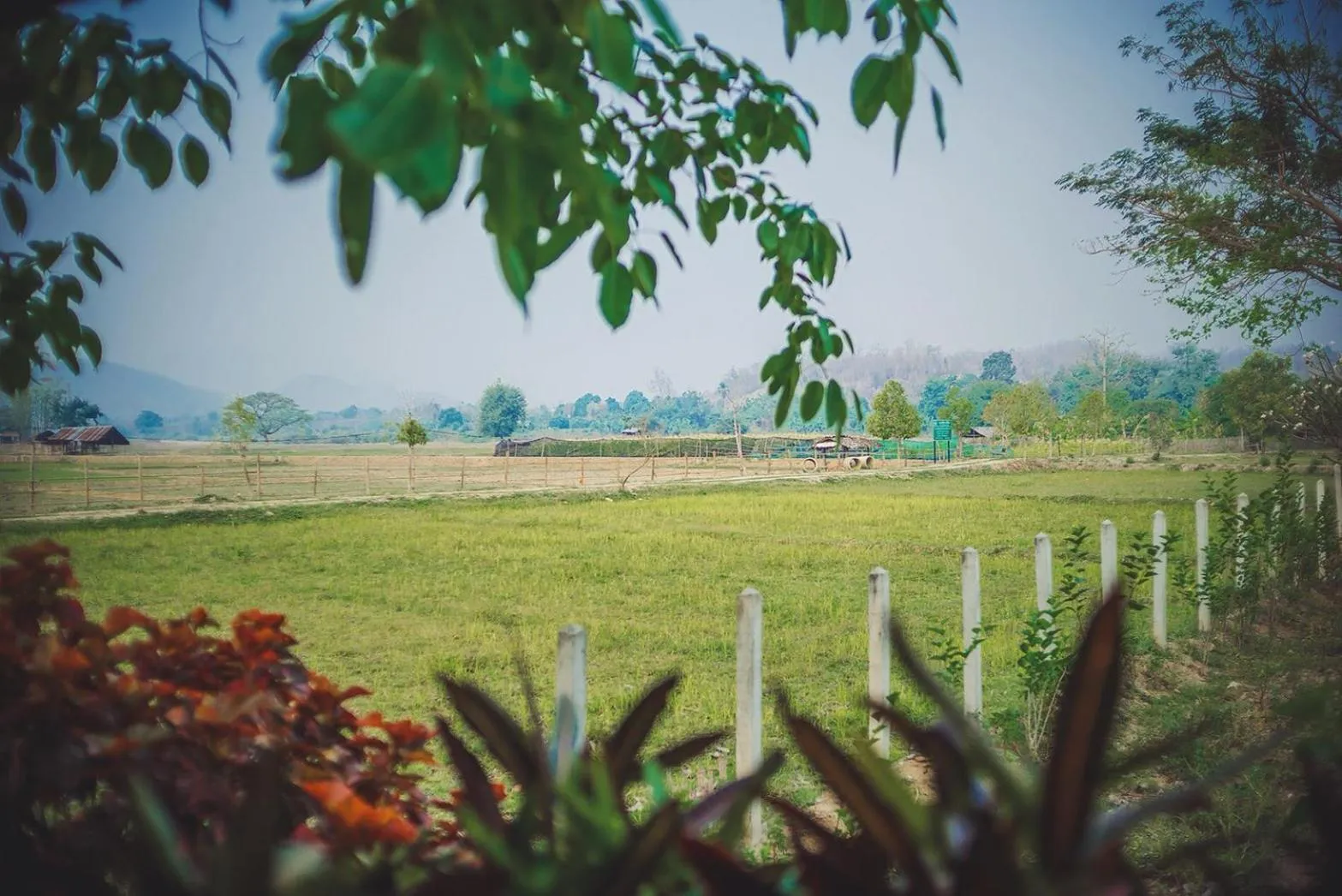 Neighbourhood in Kalm Pai