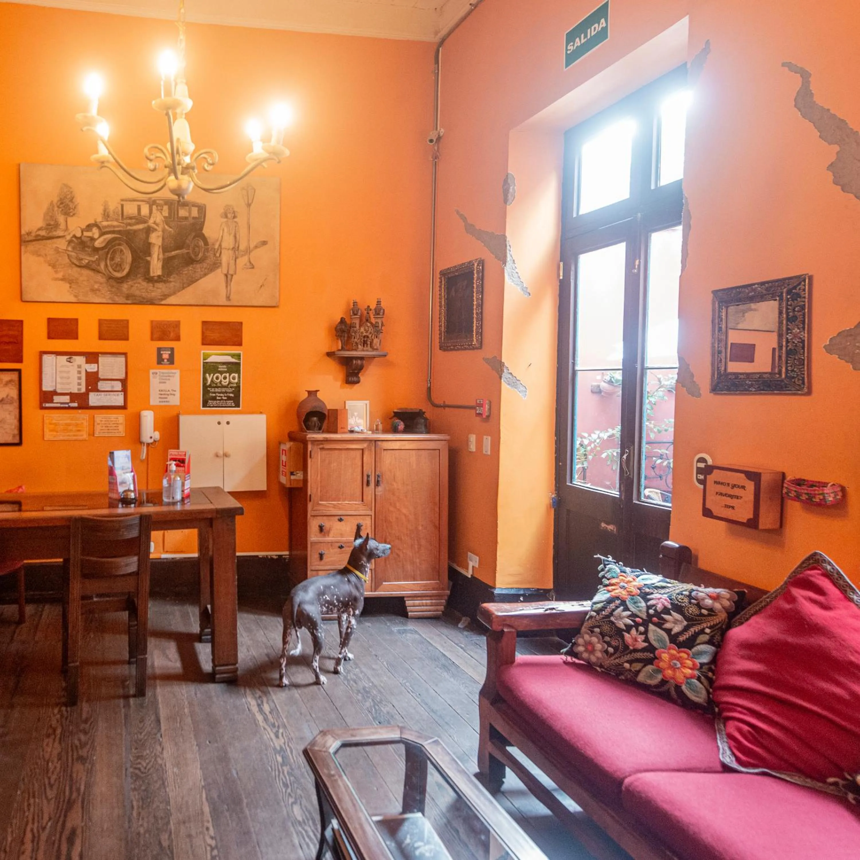 KACLLA, The Healing Dog Hostel