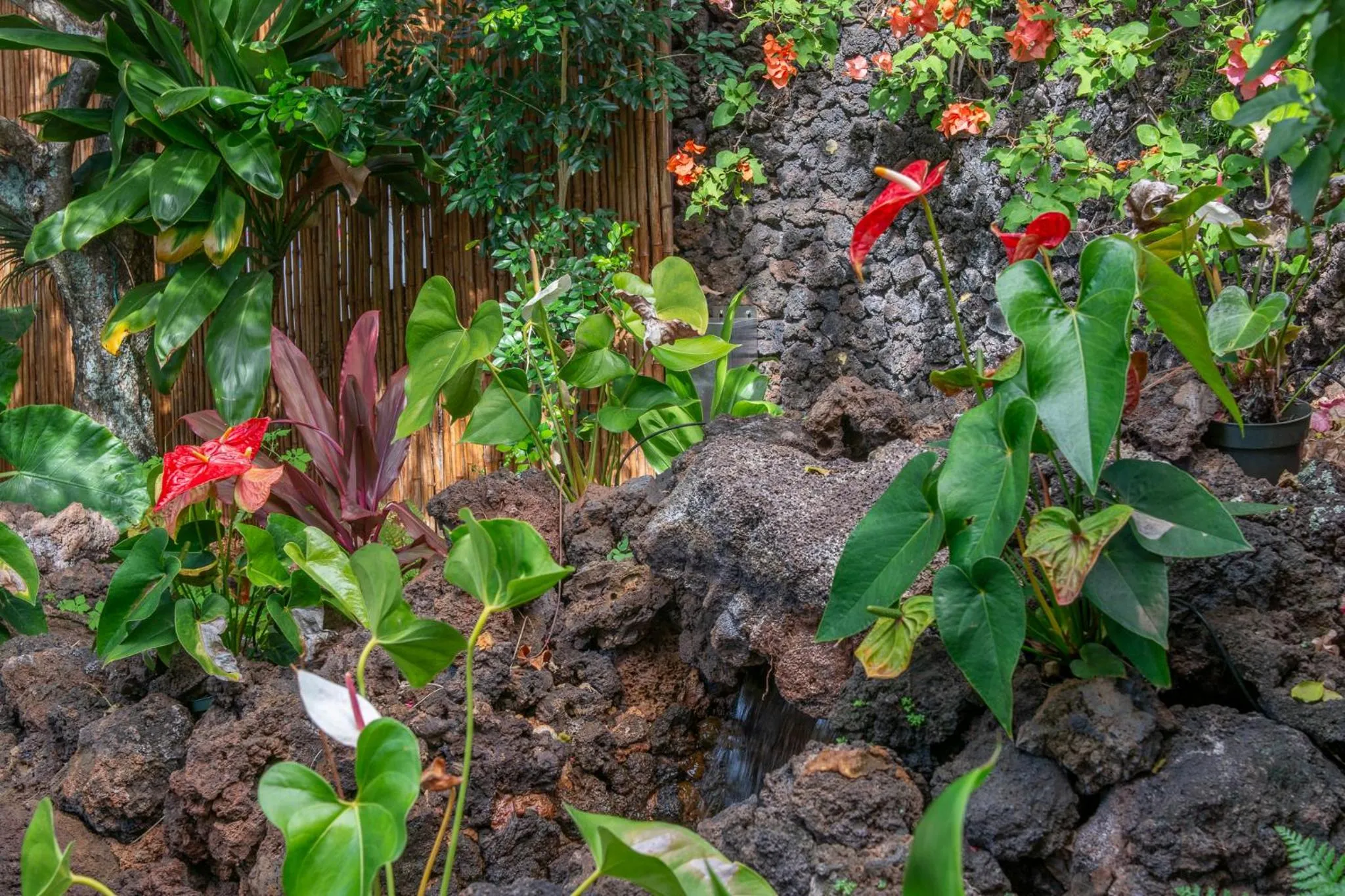 Natural landscape in Nāpili Surf Beach Resort by Castle