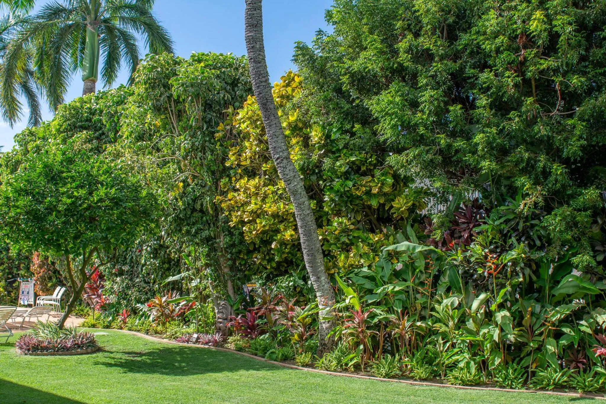 Natural landscape in Nāpili Surf Beach Resort by Castle