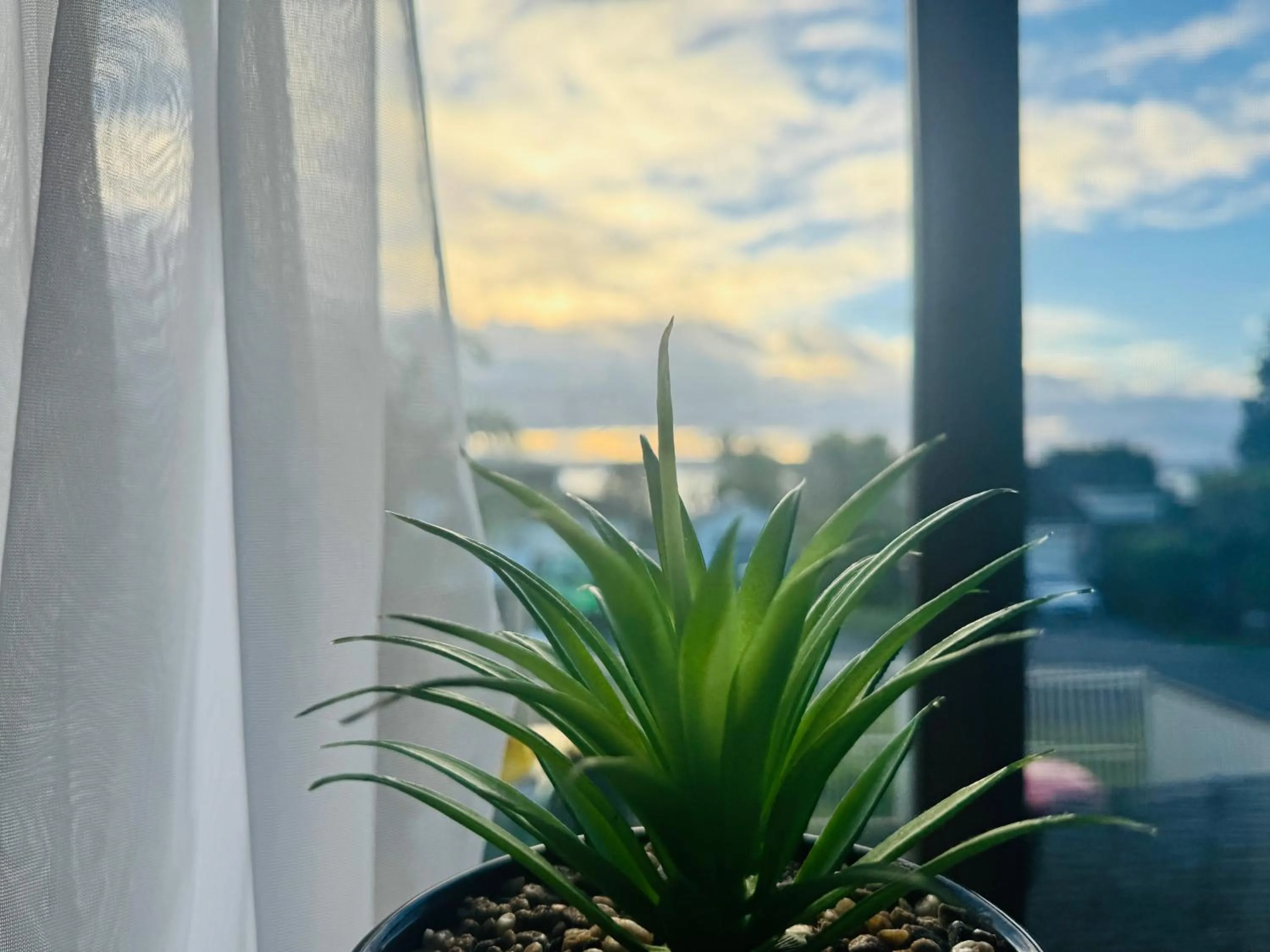 View (from property/room) in Jetty Motel The Entrance