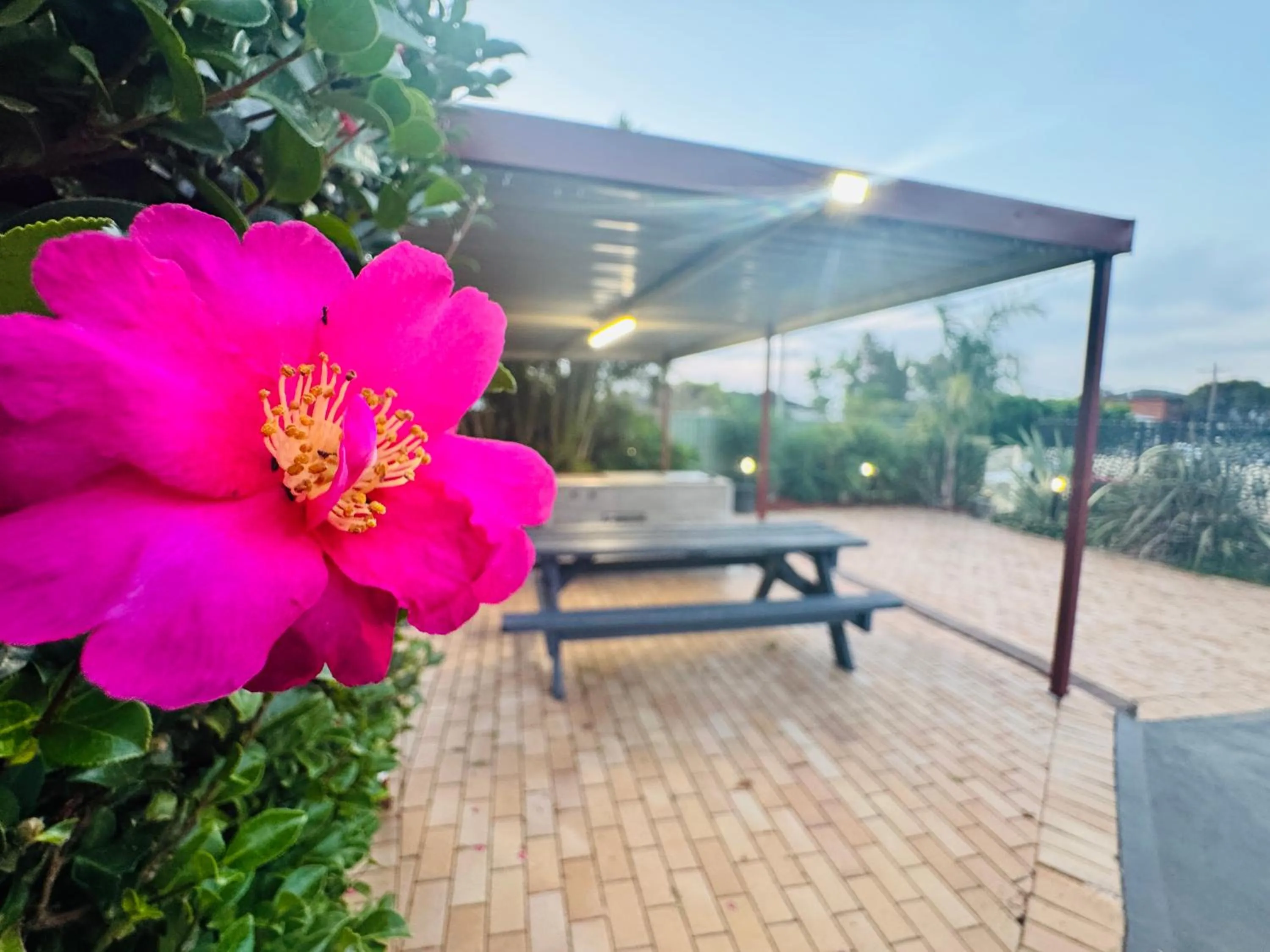 BBQ facilities in Jetty Motel The Entrance