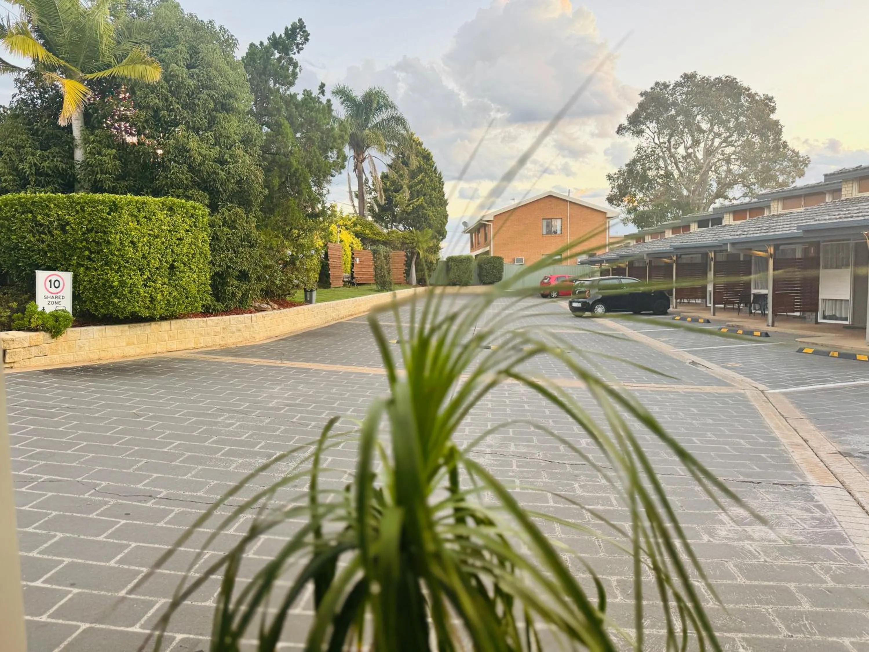 Garden in Jetty Motel The Entrance