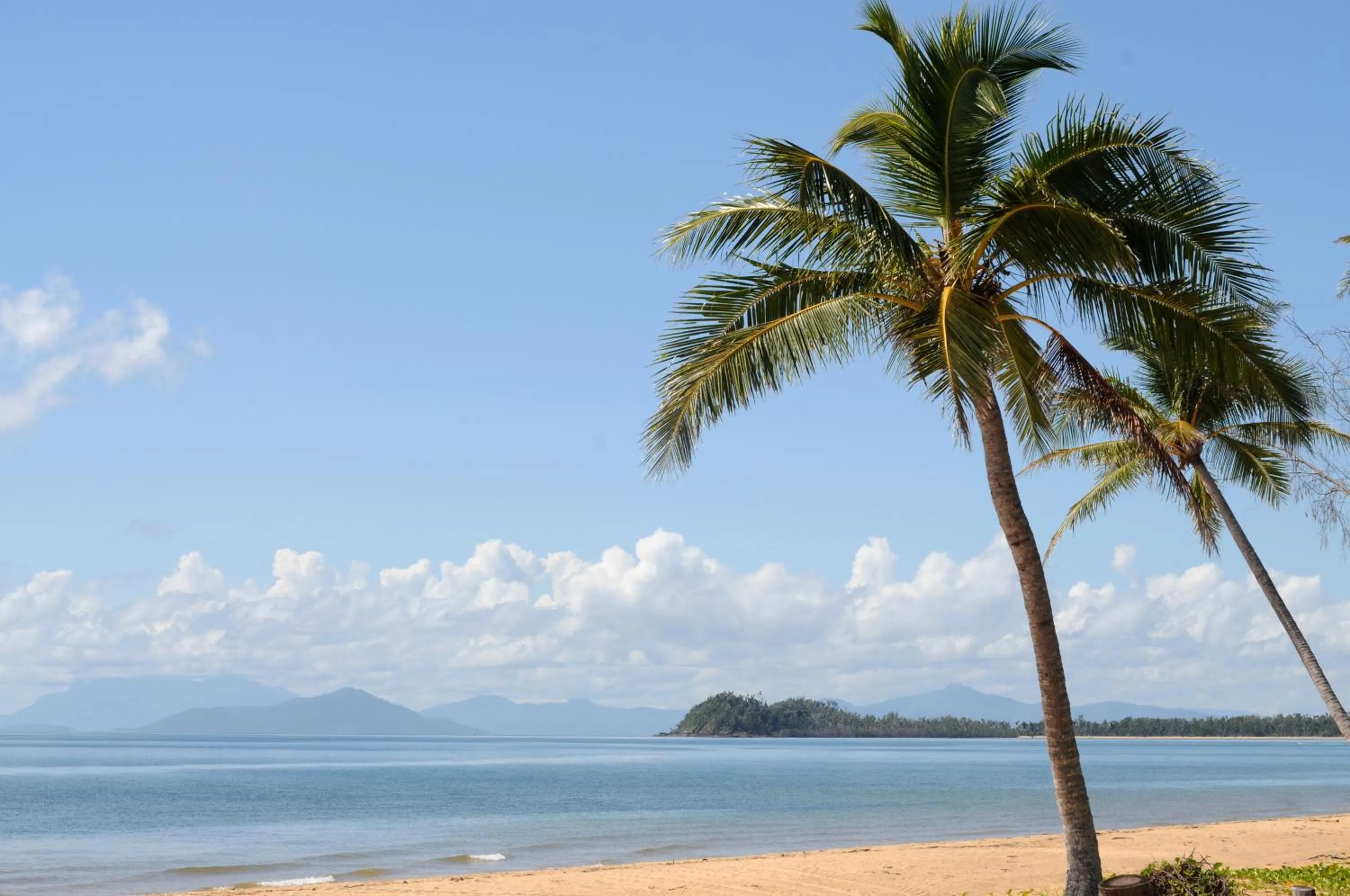 Beach in Rainforest Motel