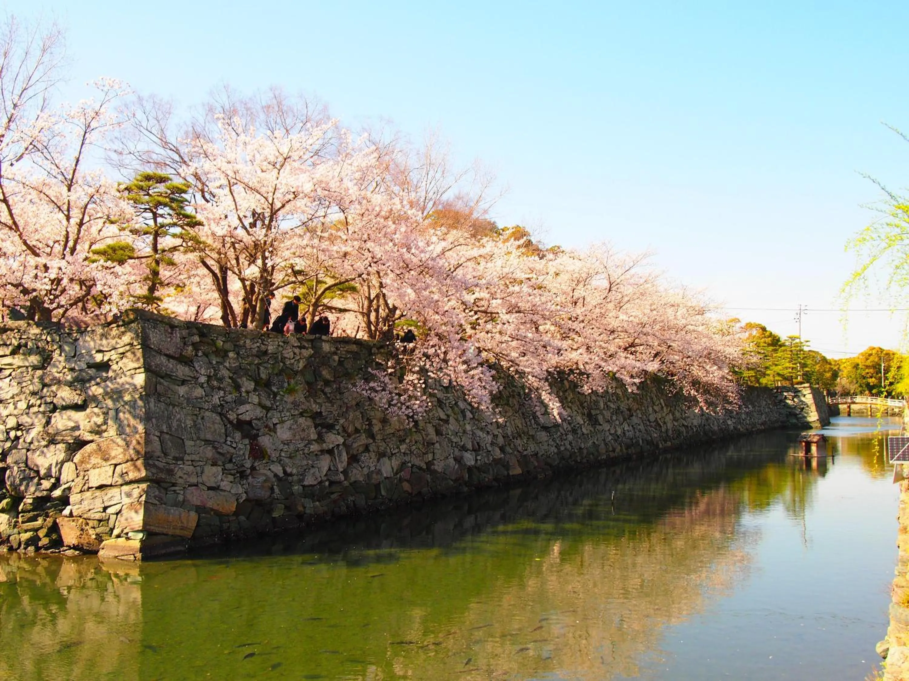 Nearby landmark in Hotel Sunroute Tokushima