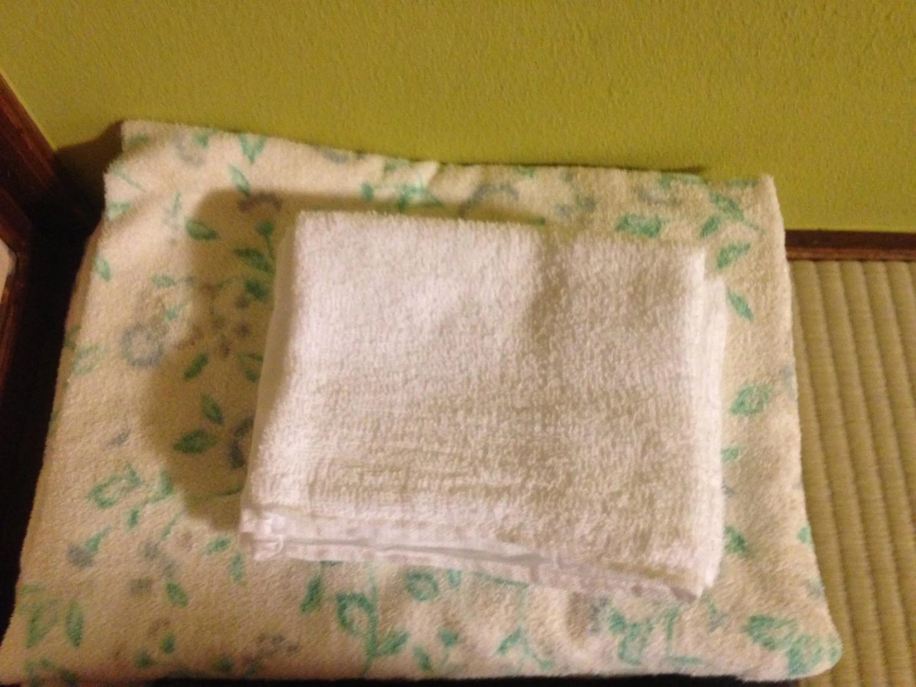 Other in Chuokan Shimizuya Ryokan