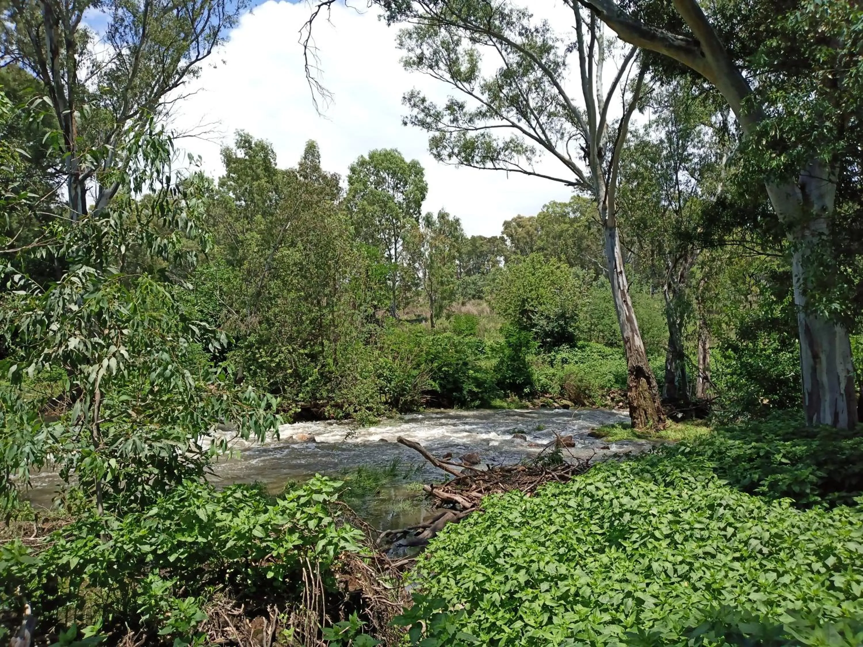 Natural landscape in Moonflower Cottages