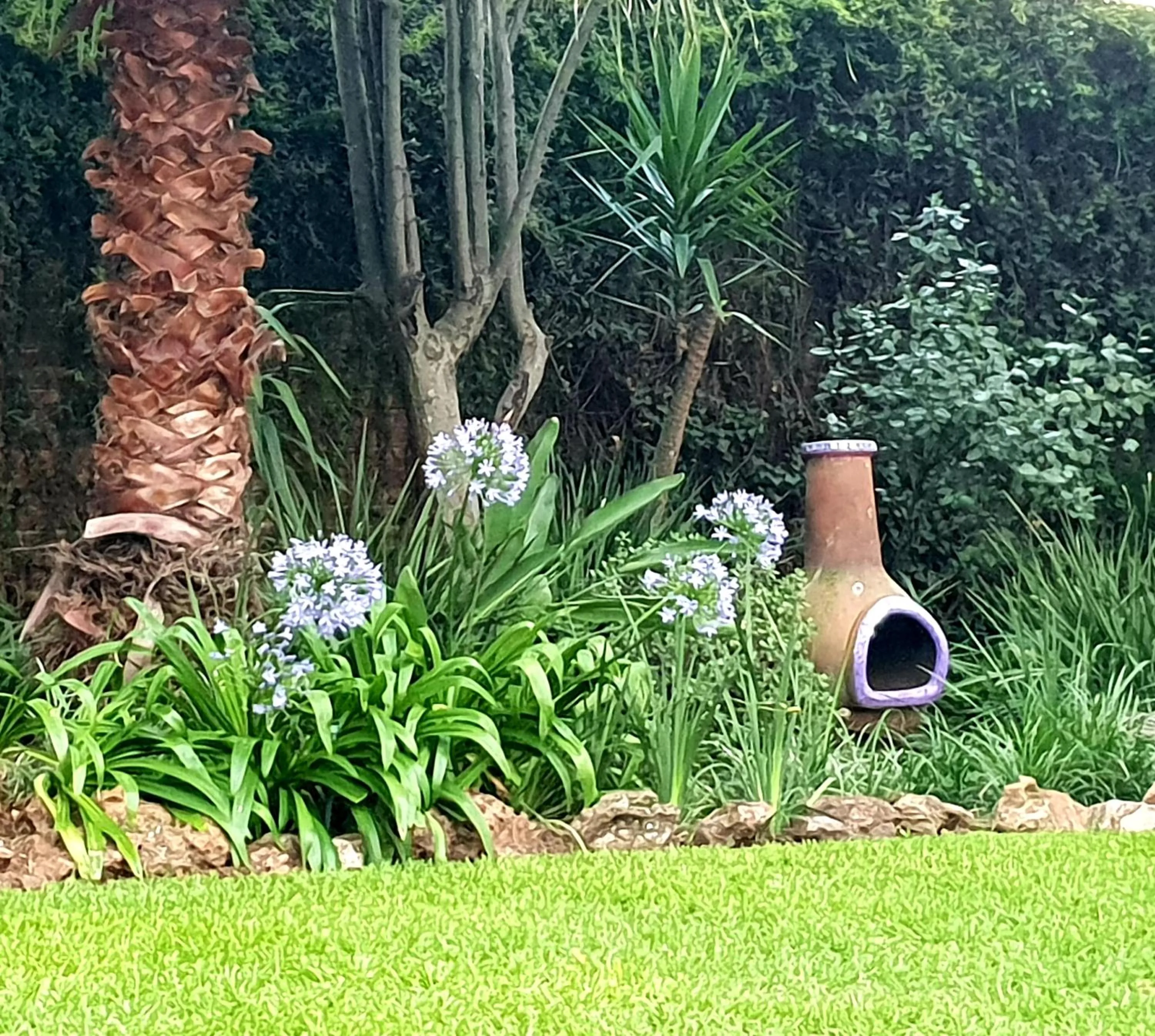 Garden in Moonflower Cottages