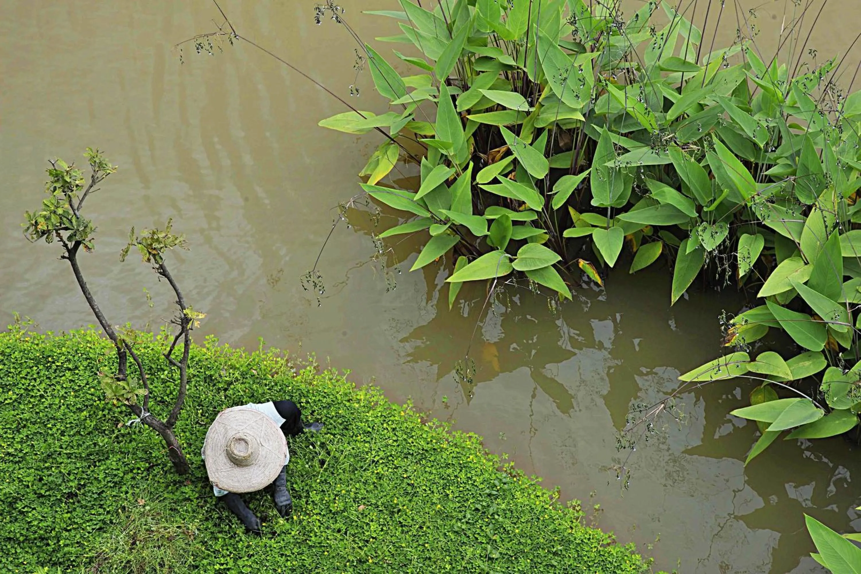 View (from property/room) in Le Meridien Chiang Rai Resort, Thailand