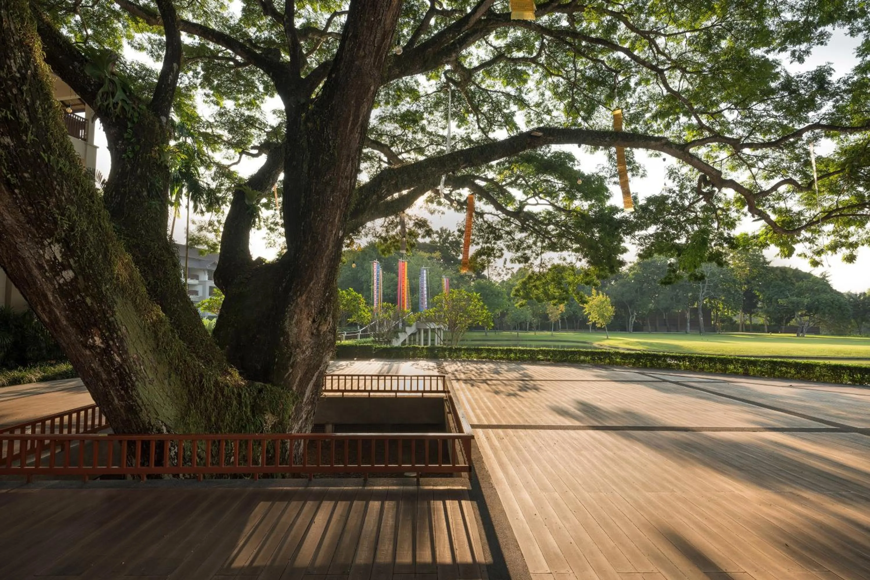 View (from property/room) in Le Meridien Chiang Rai Resort, Thailand