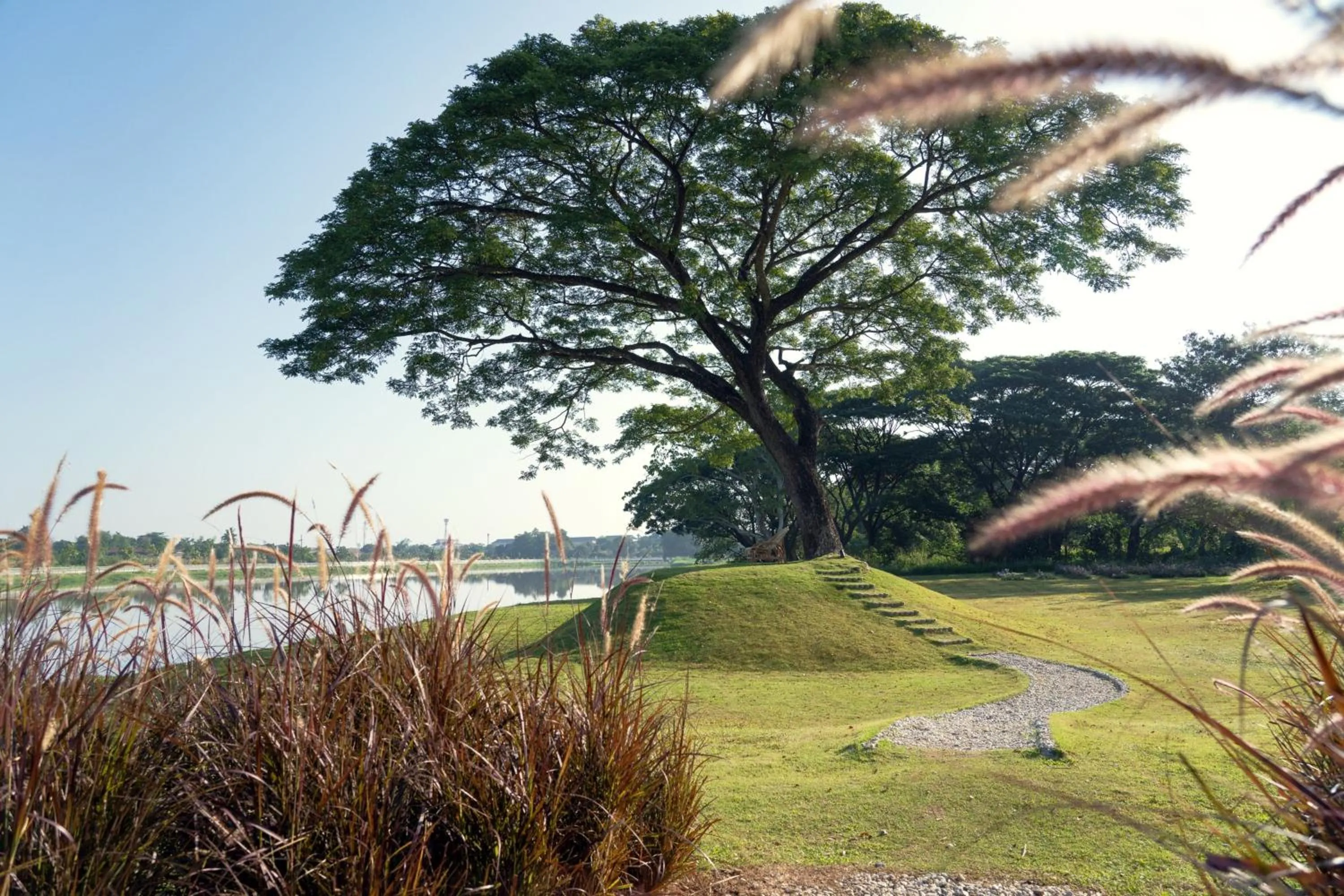 View (from property/room) in Le Meridien Chiang Rai Resort, Thailand