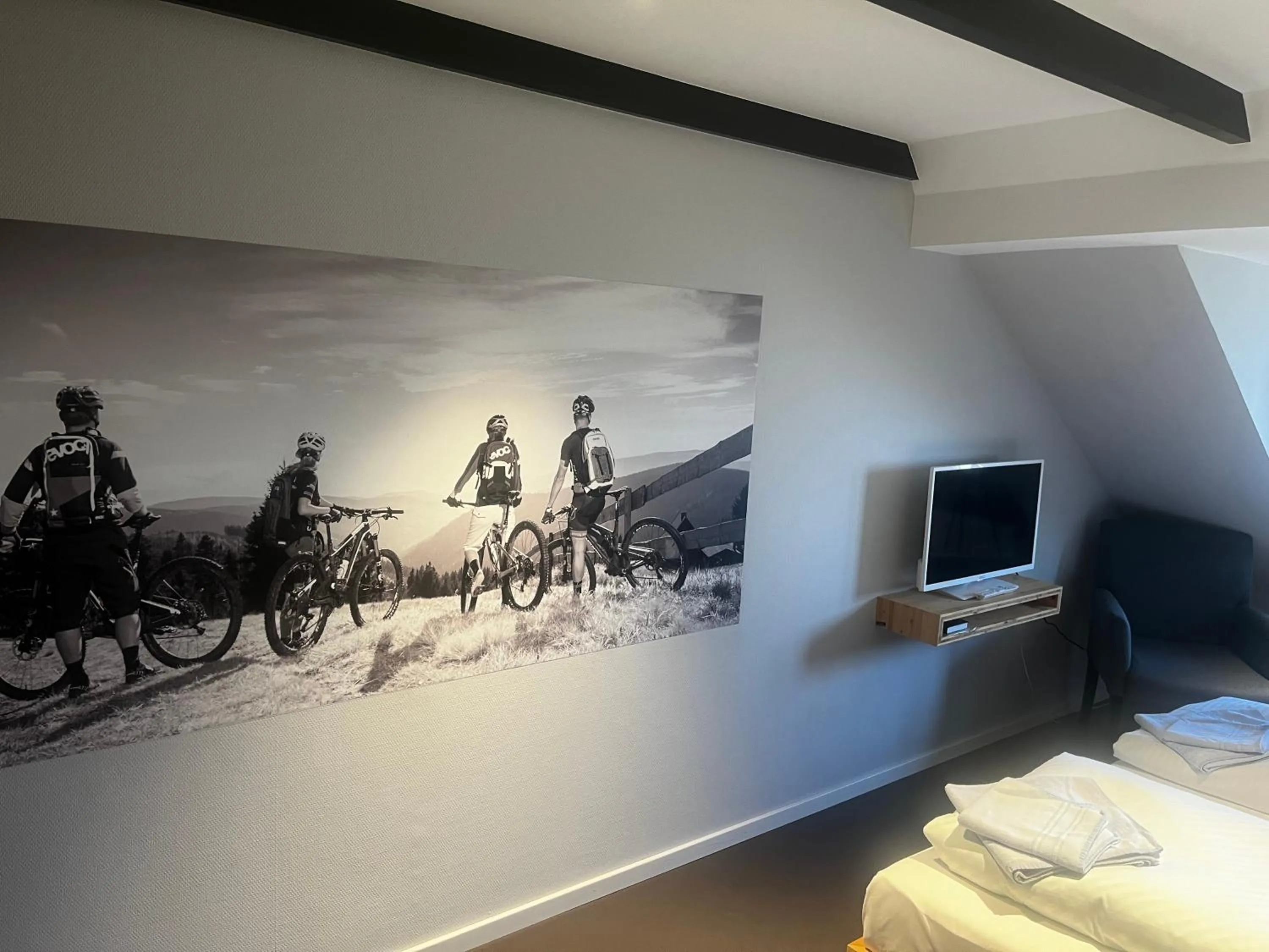 Double Room in Berghotel Pöhlberg
