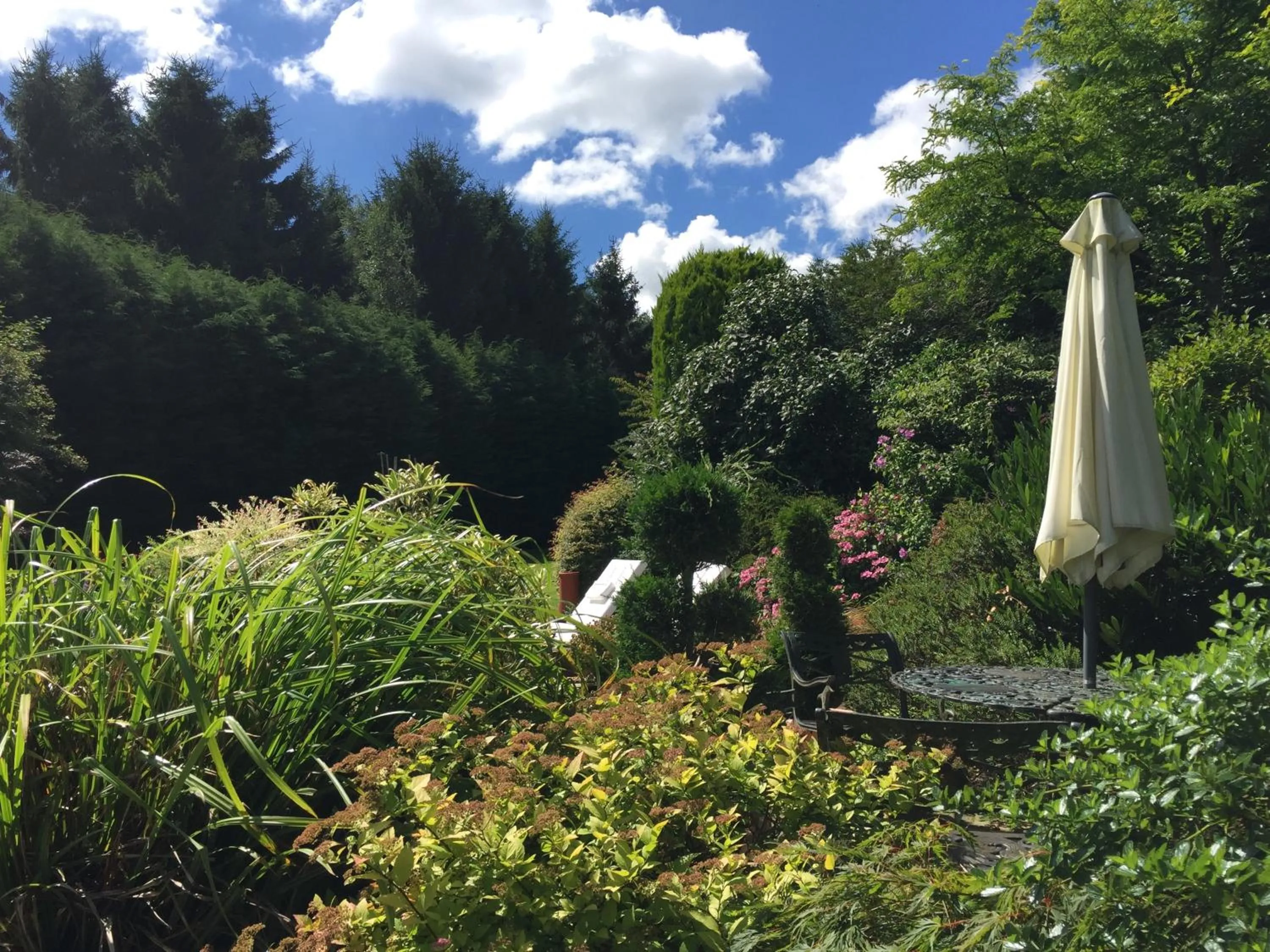 Bird's eye view in Beechwood B and B