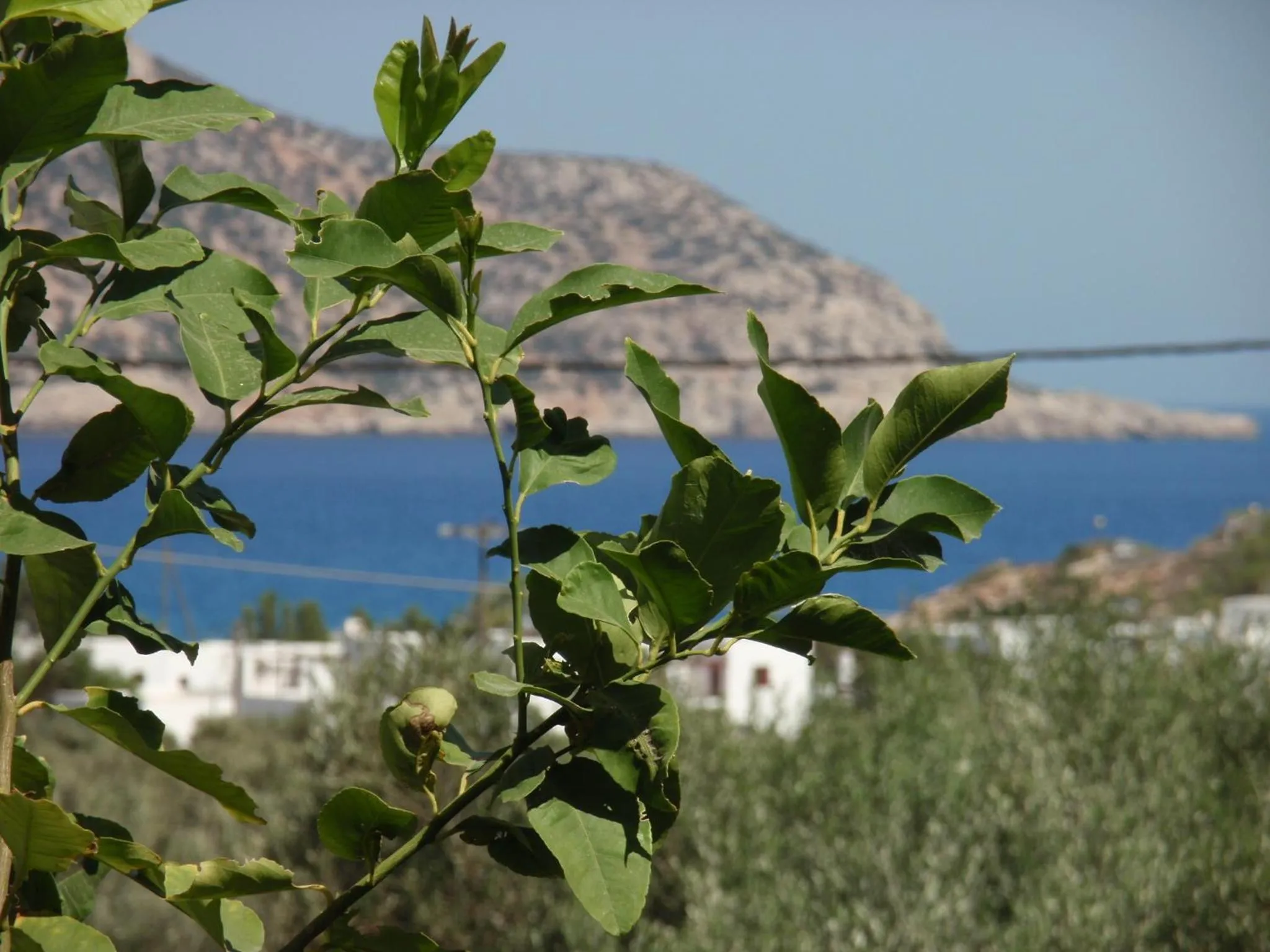 Day in Vardes Hotel Studios