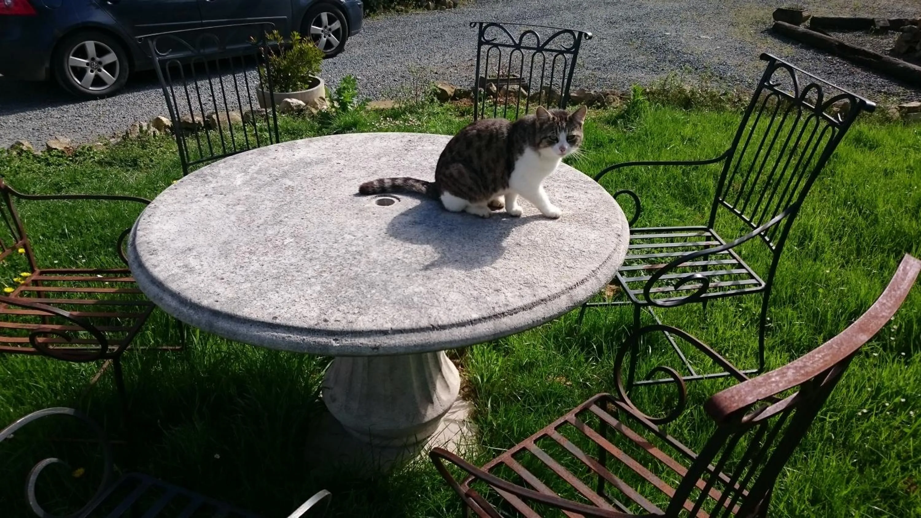 Pets in La Mare aux 3 Diables