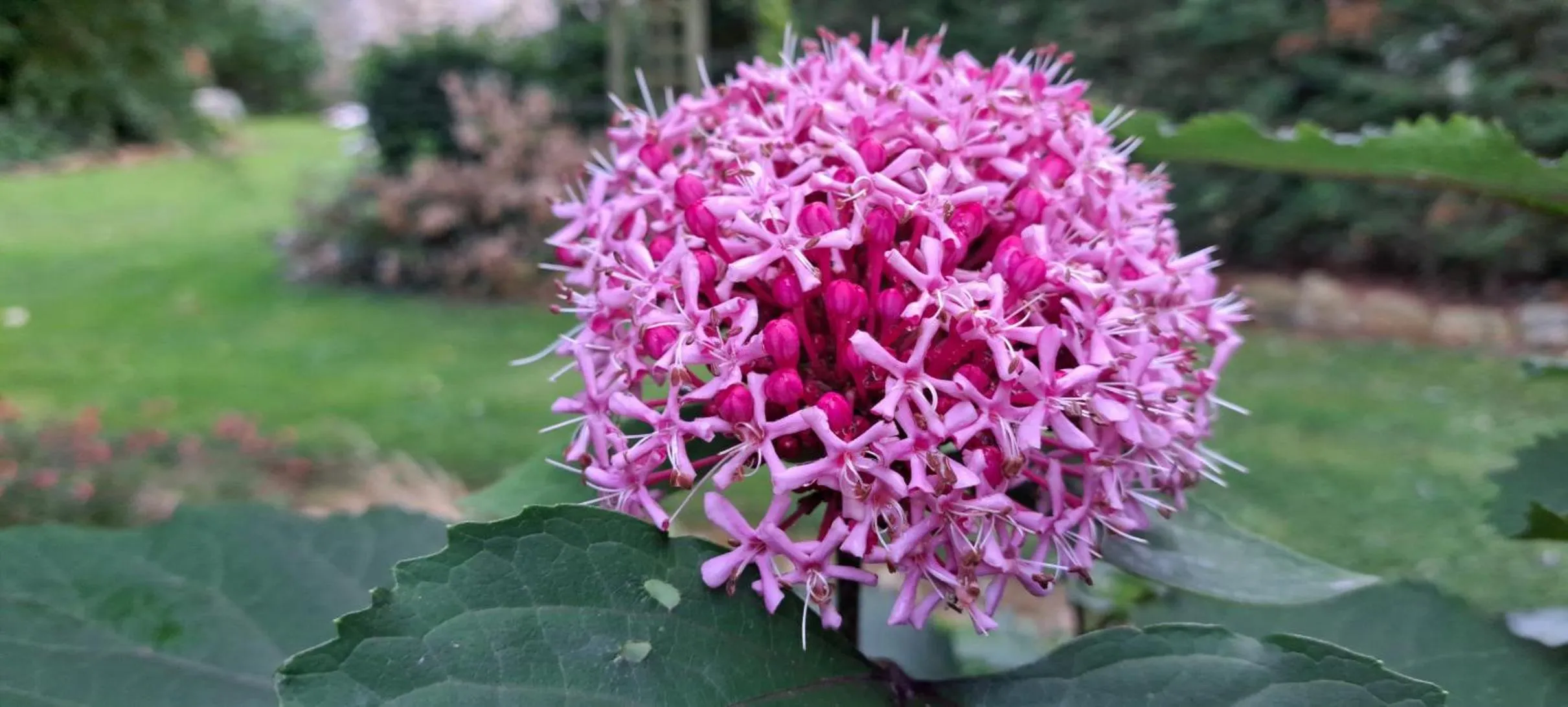 La Mare aux 3 Diables