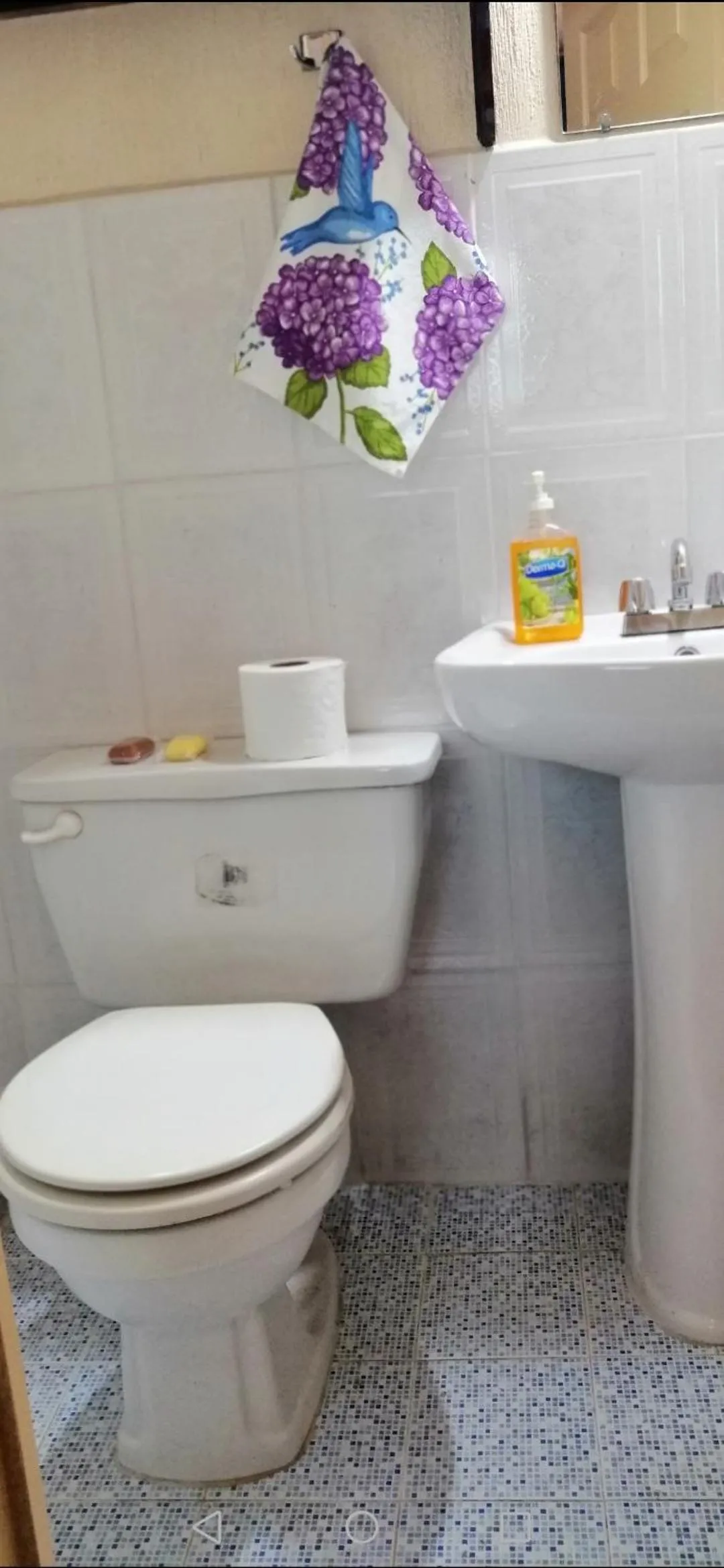 Bathroom in Hotel Chalet