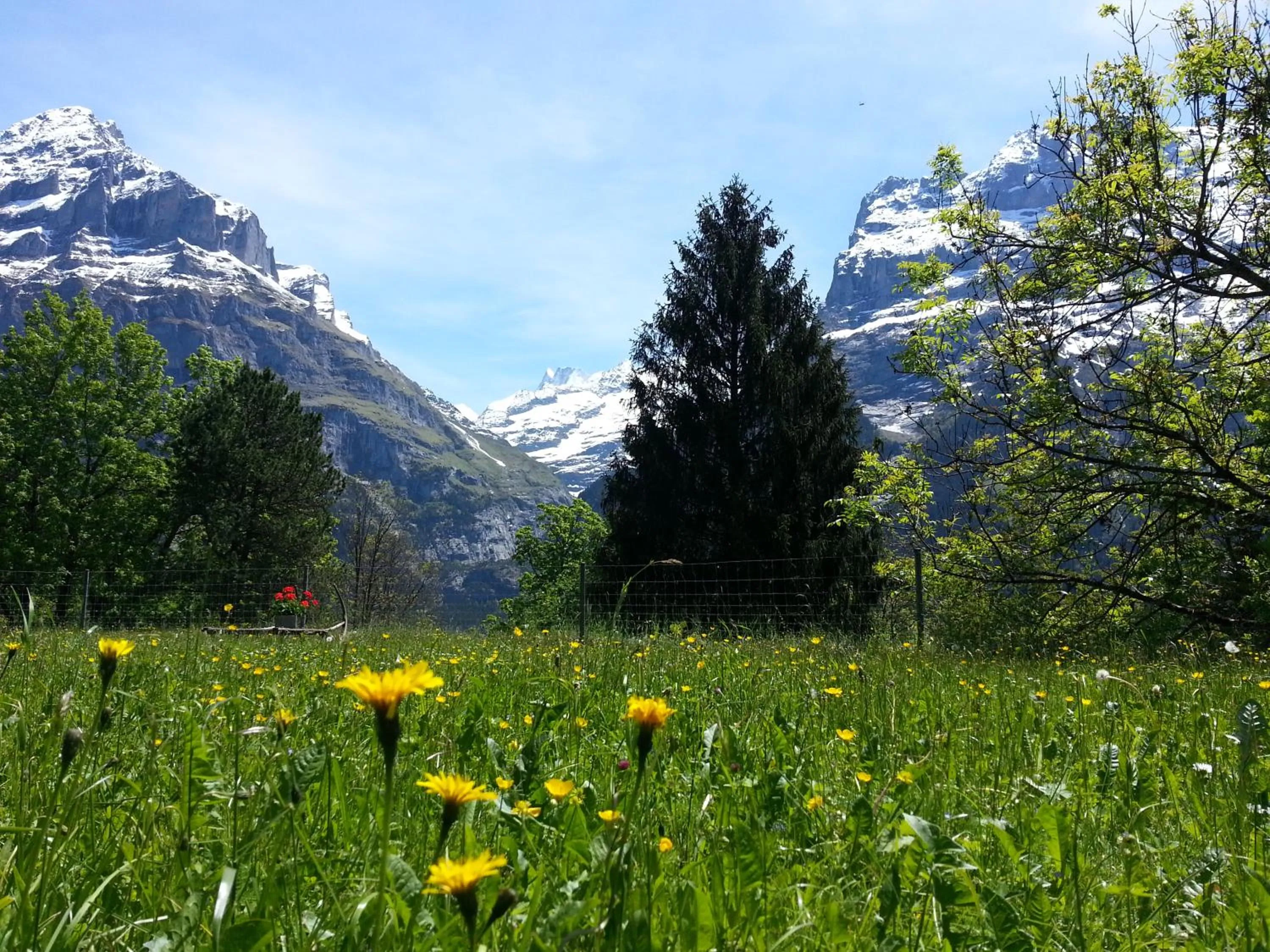 Natural landscape in Grindelwald Youth Hostel