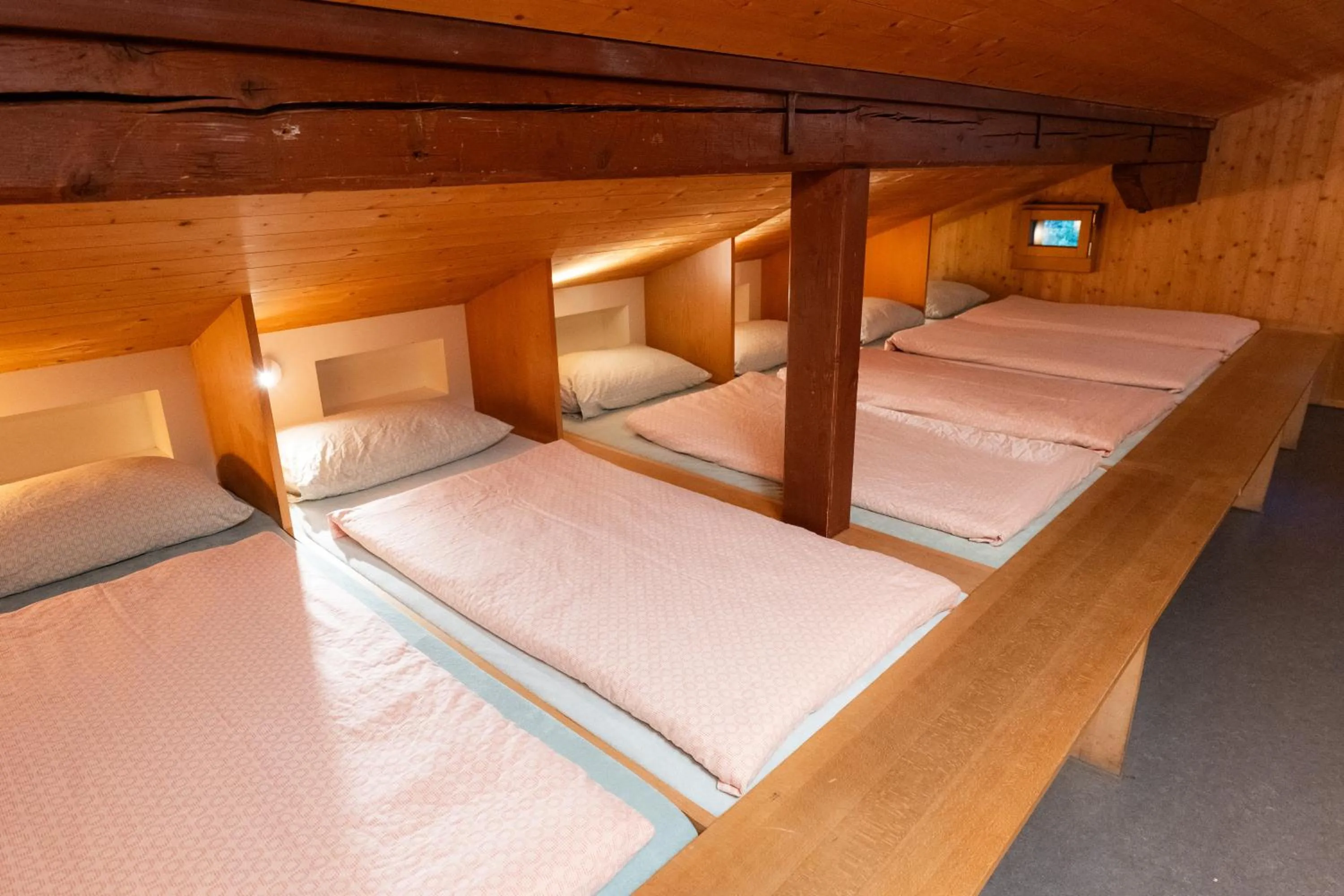 Bed in Grindelwald Youth Hostel