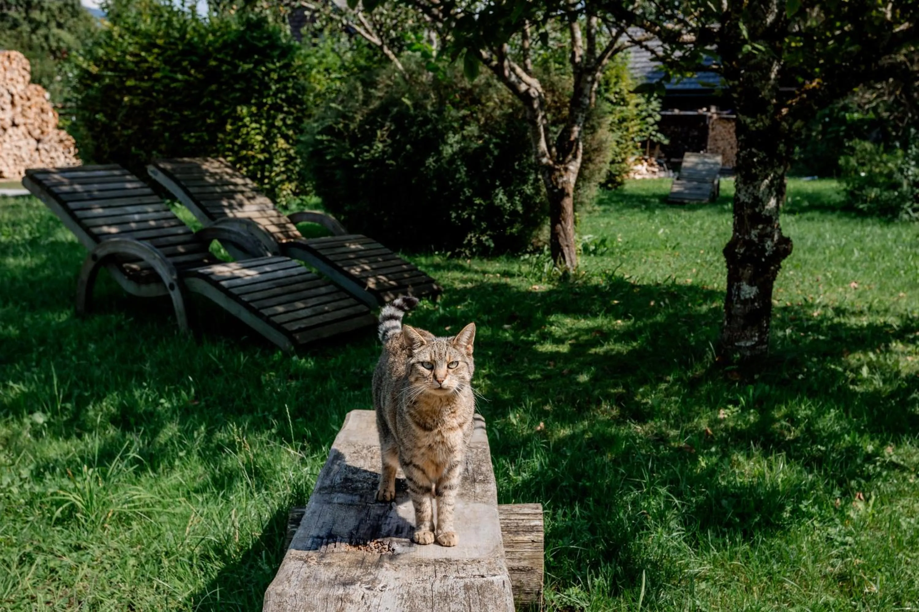 Garden in Gasthof Zinkenbachmühle