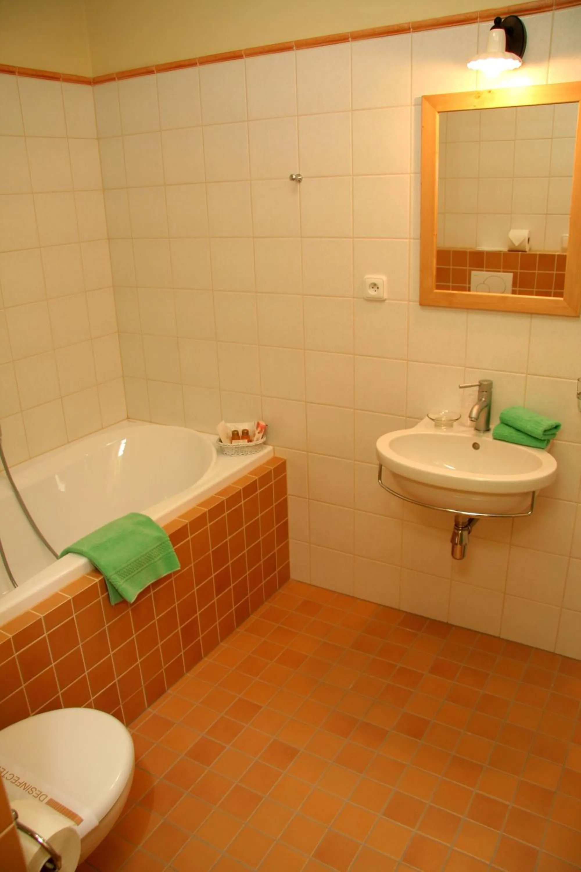 Bathroom in Hotel Koníček